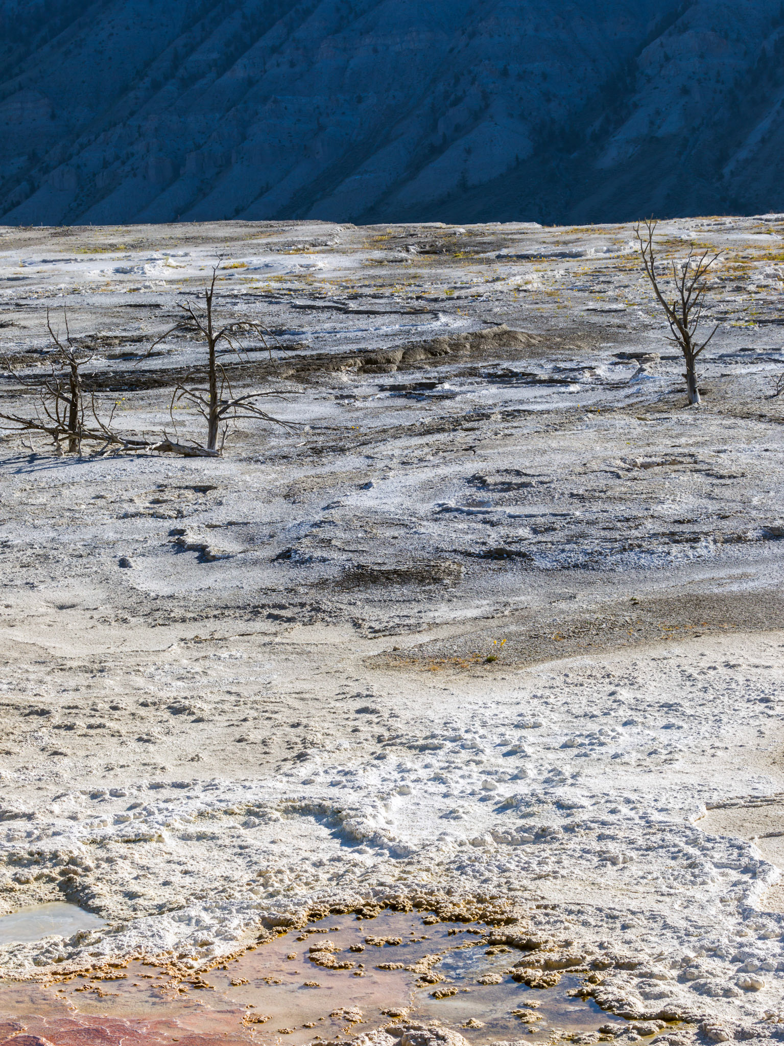Lower Terraces, Mammoth Hot Springs. Yellowstone National Park, Wyoming.