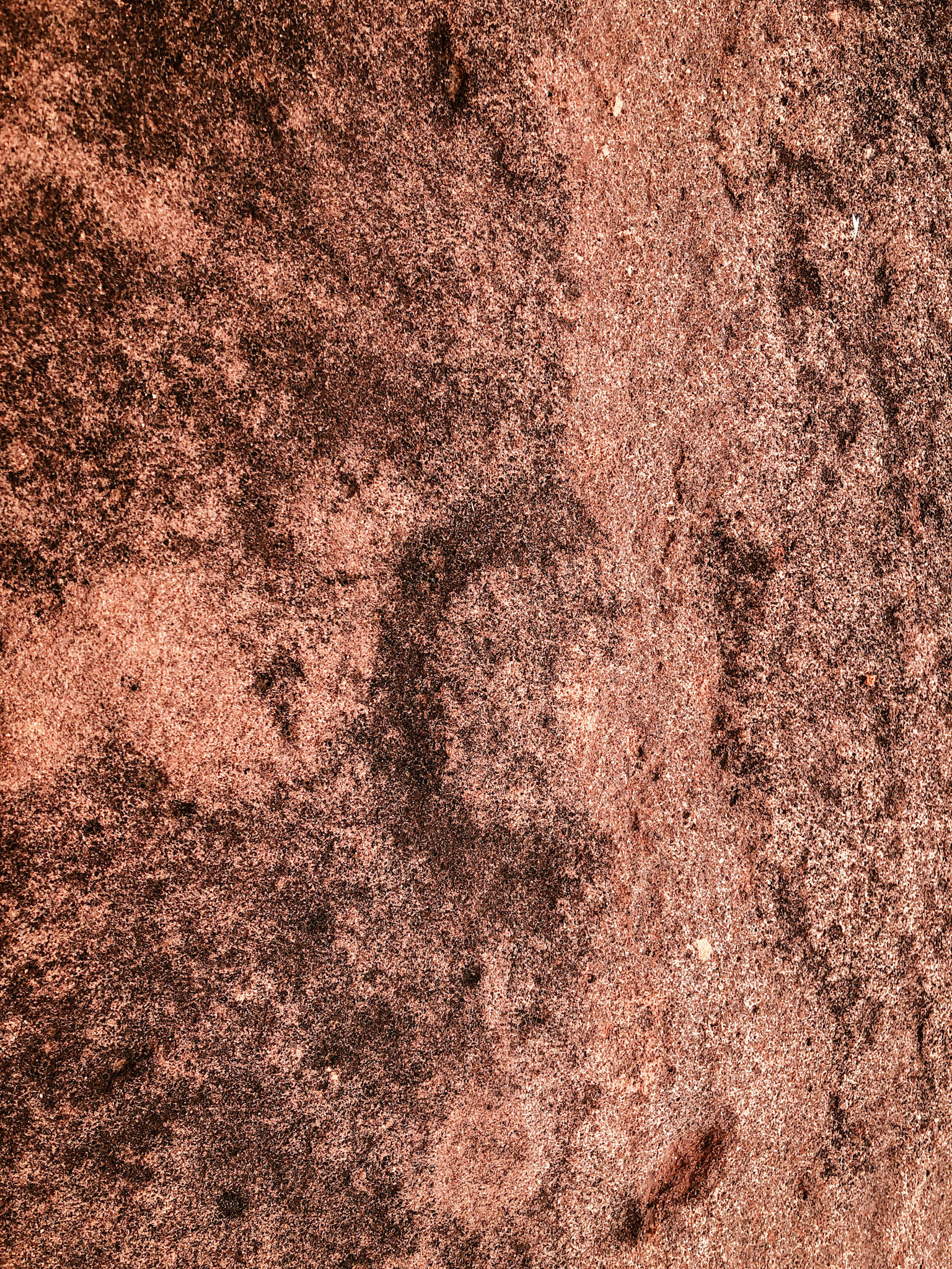 Ancient petroglyph, near the Sandy Blight Junction Road