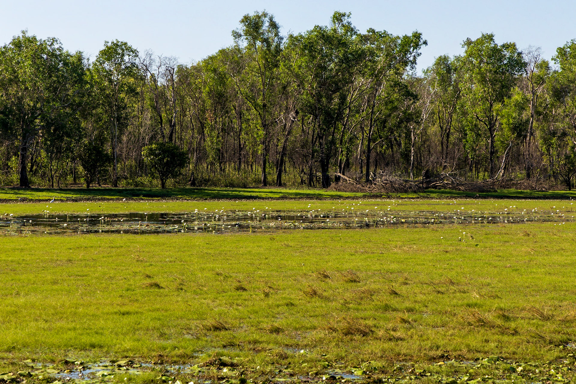 Anbangbang Billabong