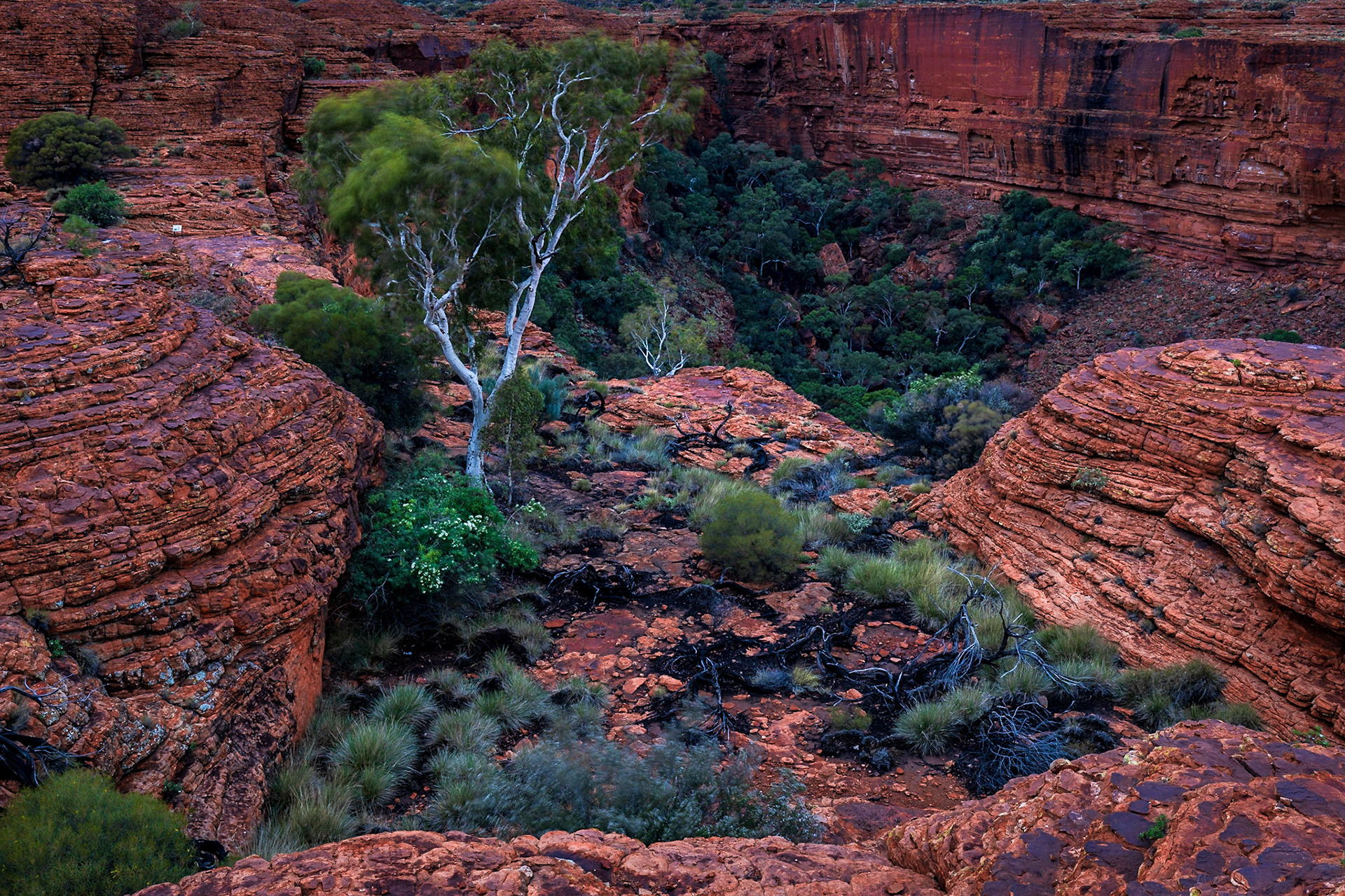 Sunrise shoot at Kings Canyon Rim Walk