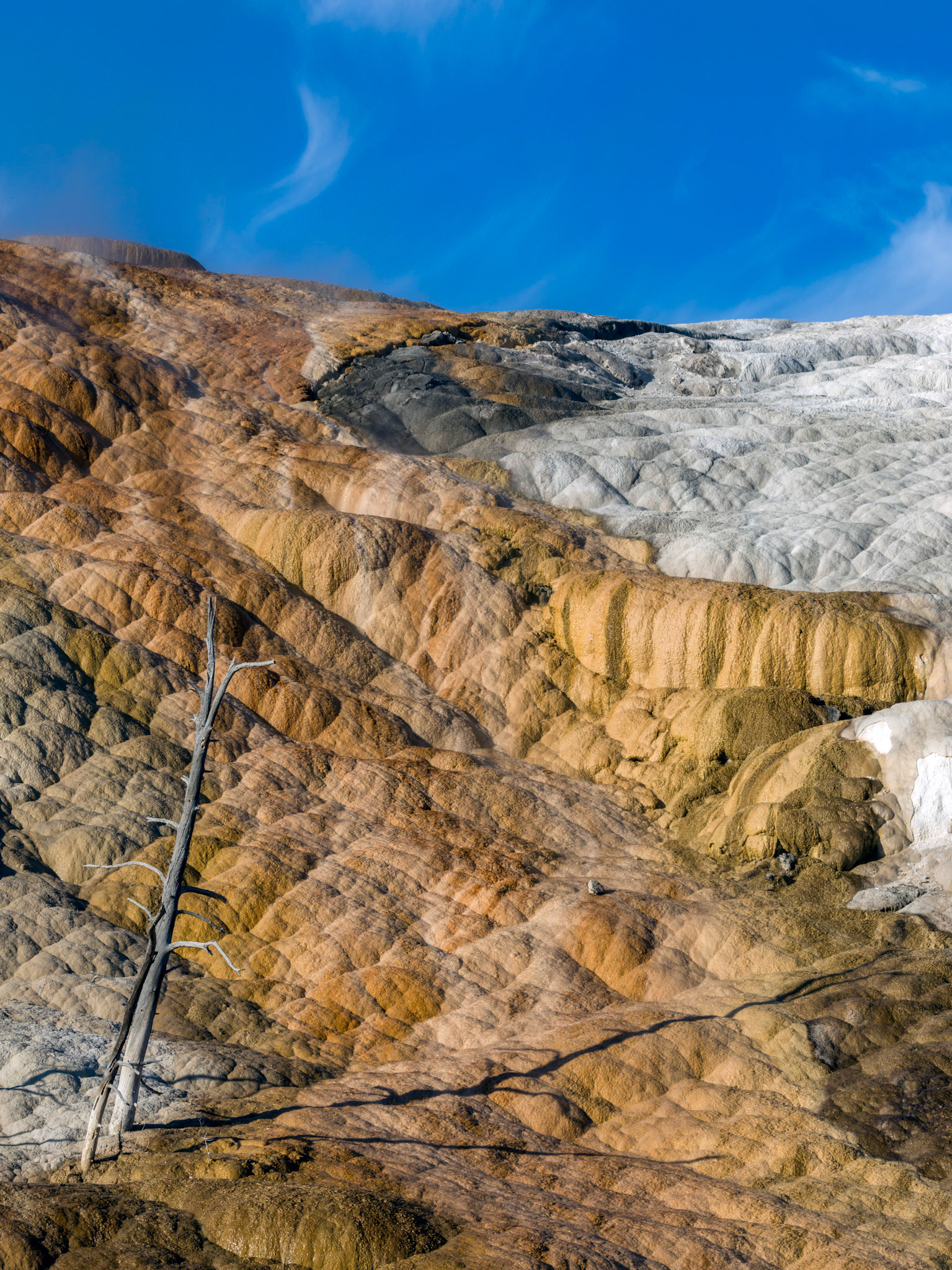 Upper Terraces, Mammoth Hot Springs. Yellowstone National Park, Wyoming.