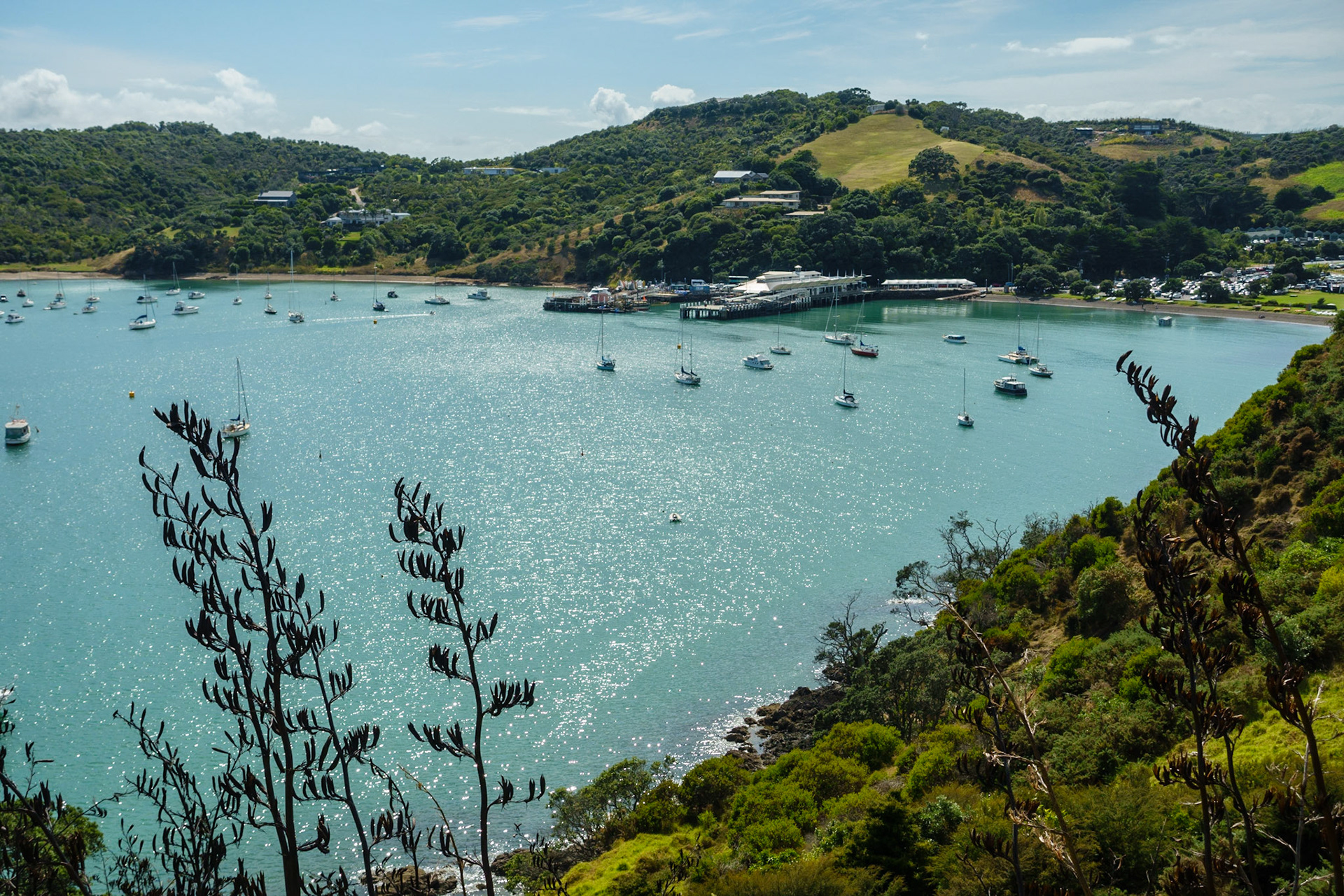 On Waiheke Island; 'Sculpture on the Gulf'