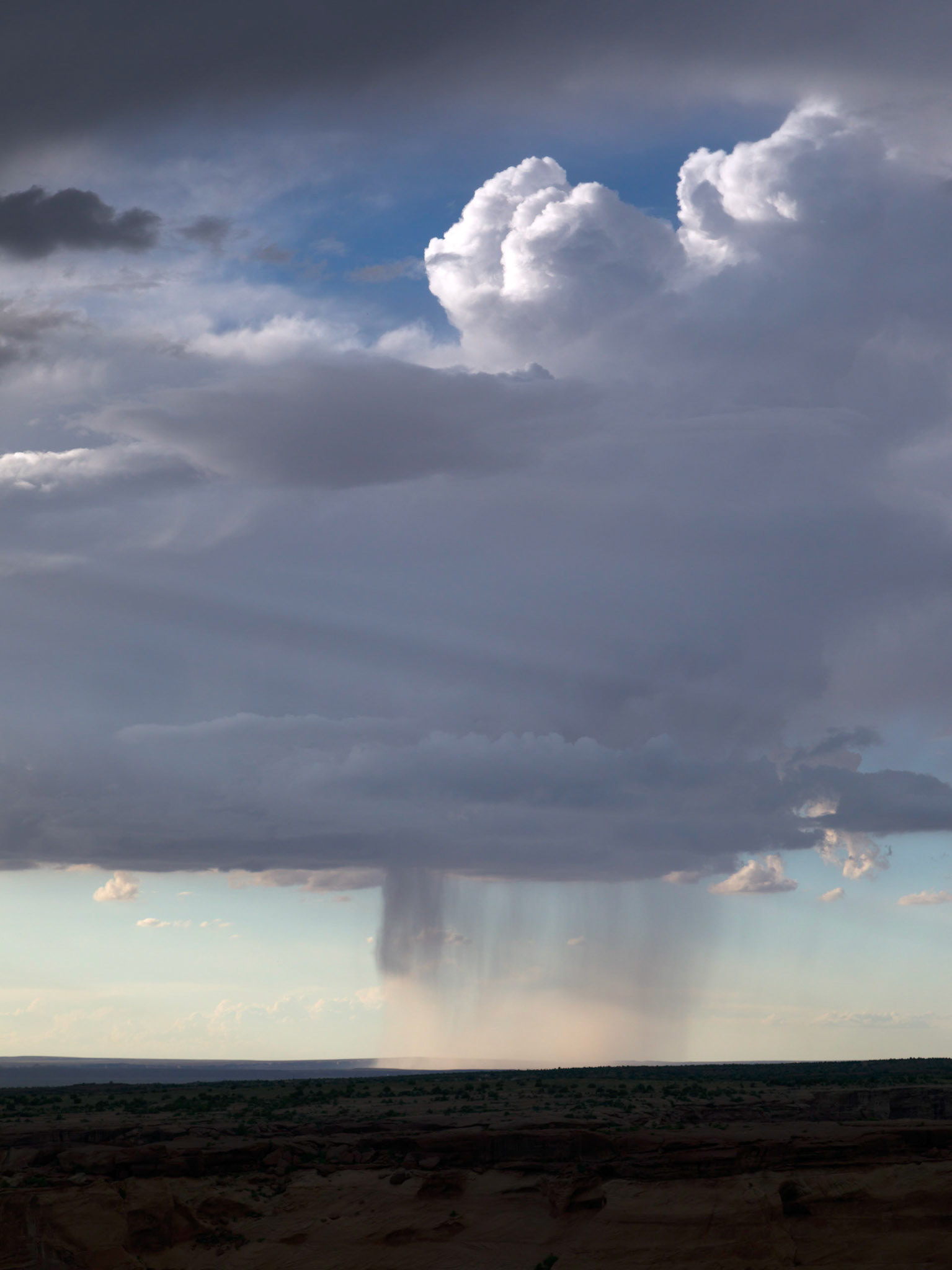 From the South Rim, nearby, a passing rain shower