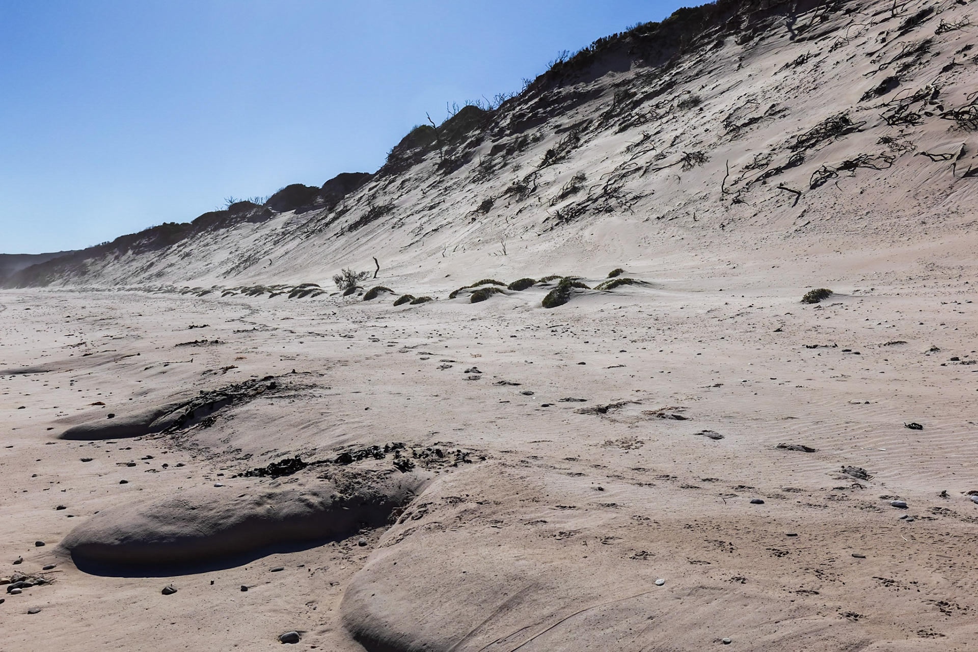 On Stephens Bay Beach