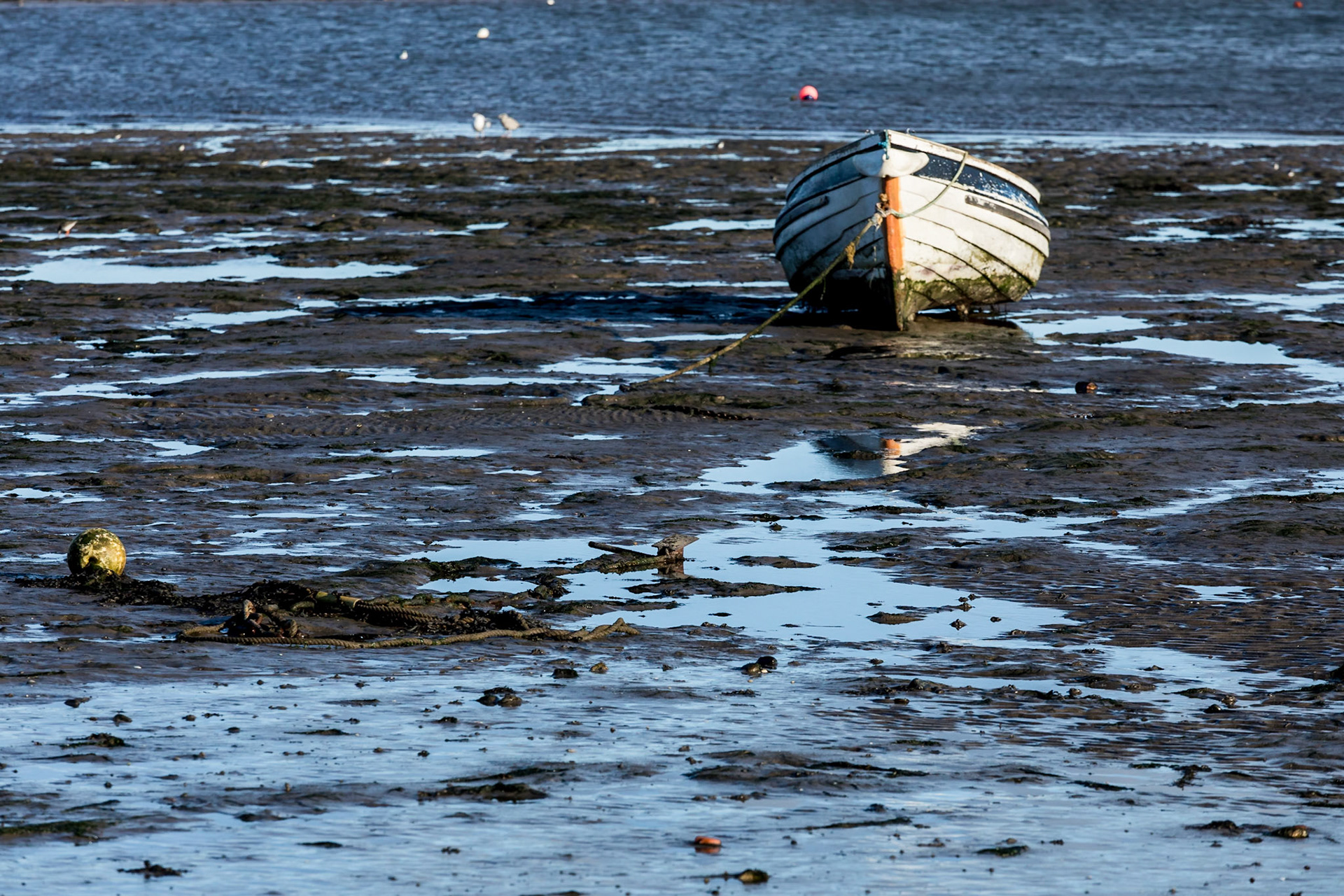 From Holy Island Beach