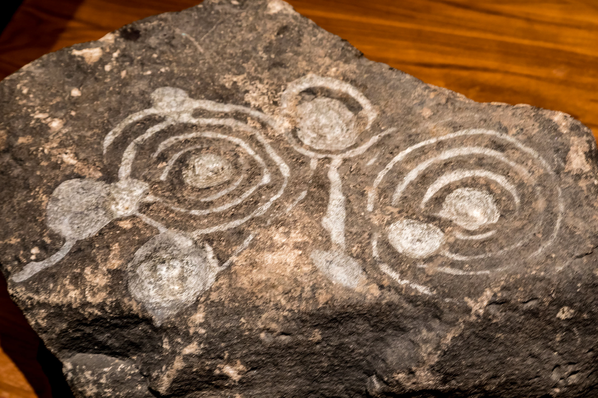 Cup and Ring Marked Boulder, 3000-1700 BCE. Bluebell Wood, Glasgow. In the Kelvingrove Art Gallery & Museum