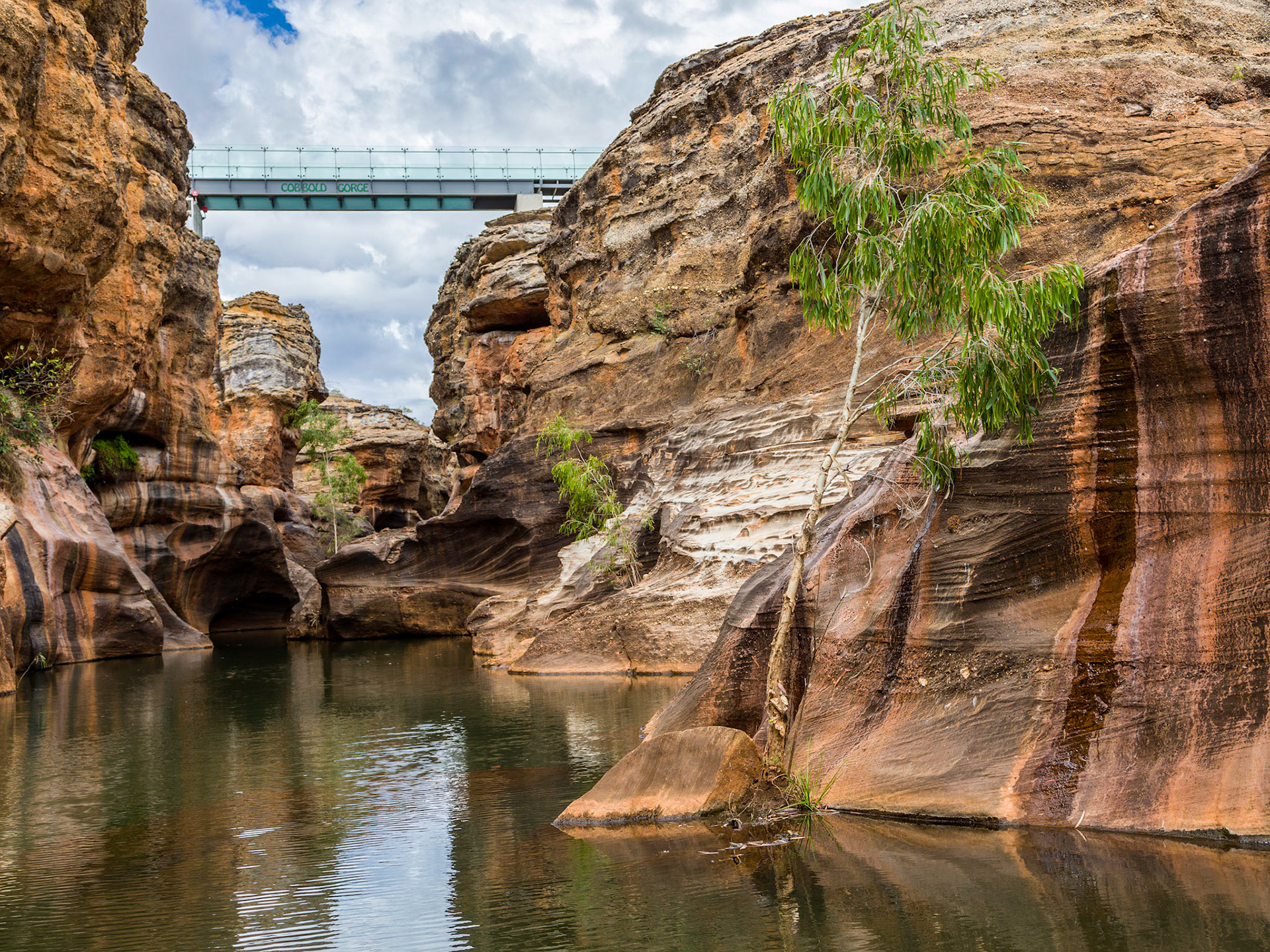 Glass Bridge over Cobbold Gorge