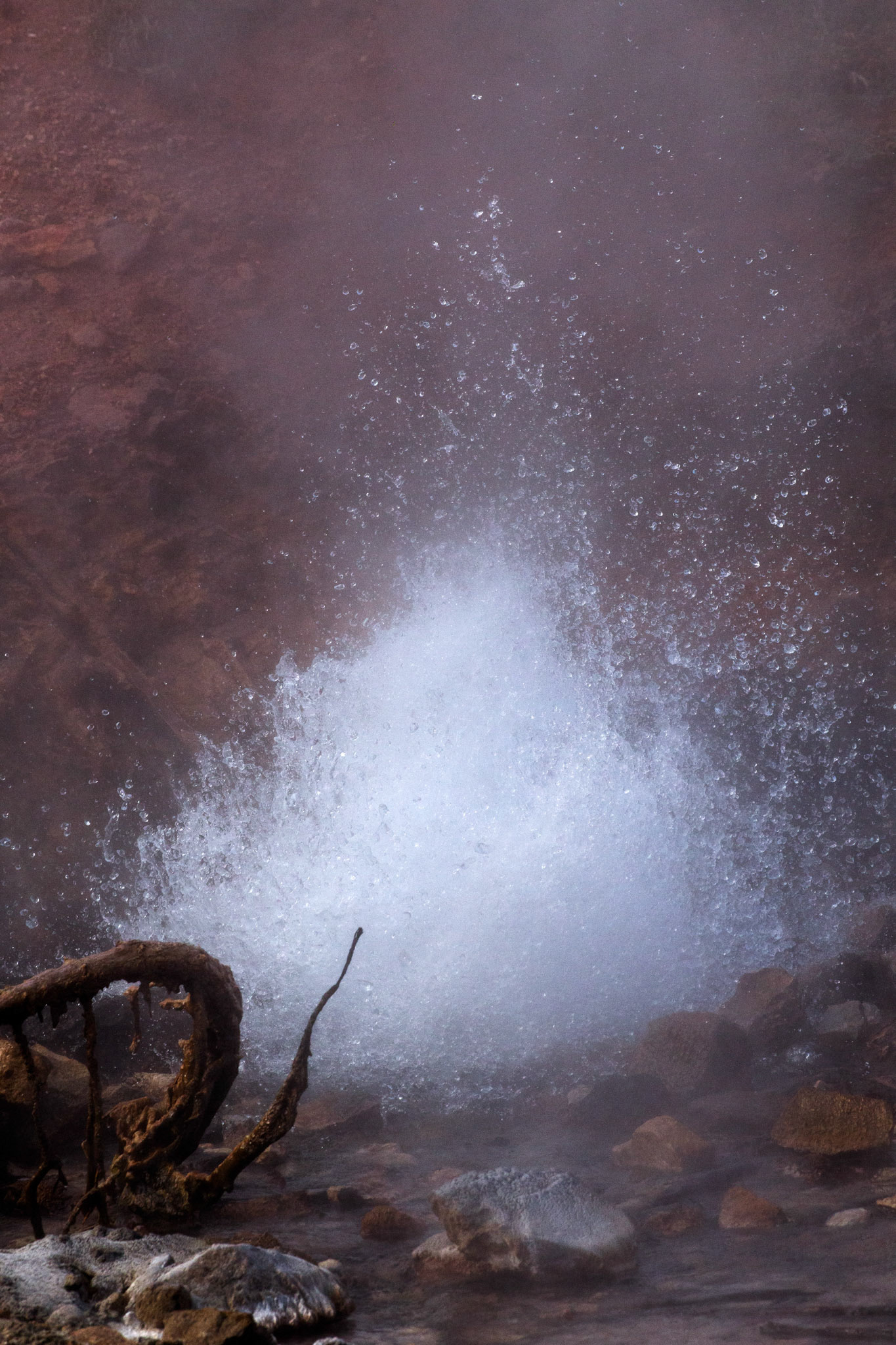 Blood Geyser. Artist Paint Pot Trail, Yellowstone National Park, Wyoming.