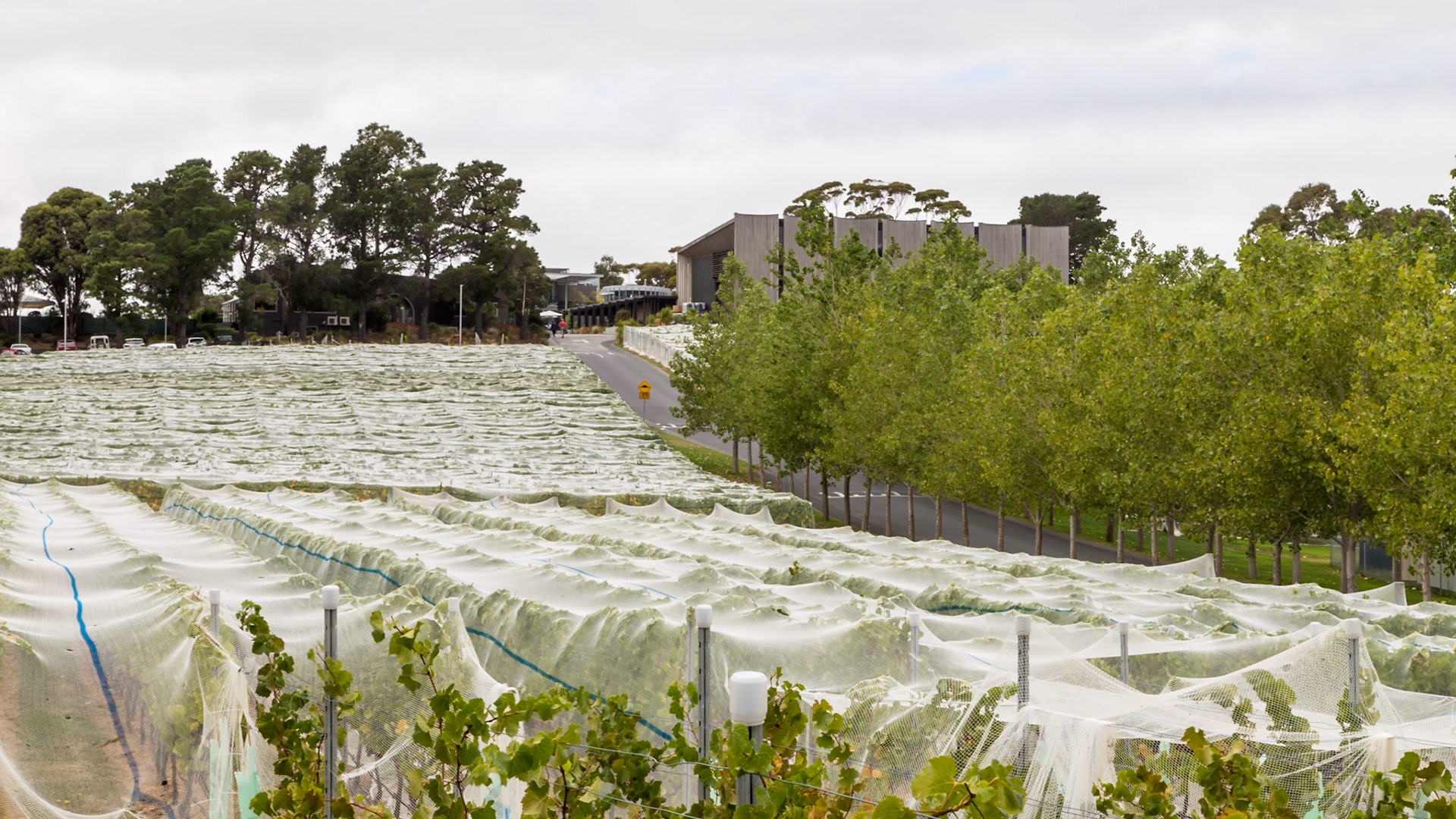 MONA at Moorilla Winery