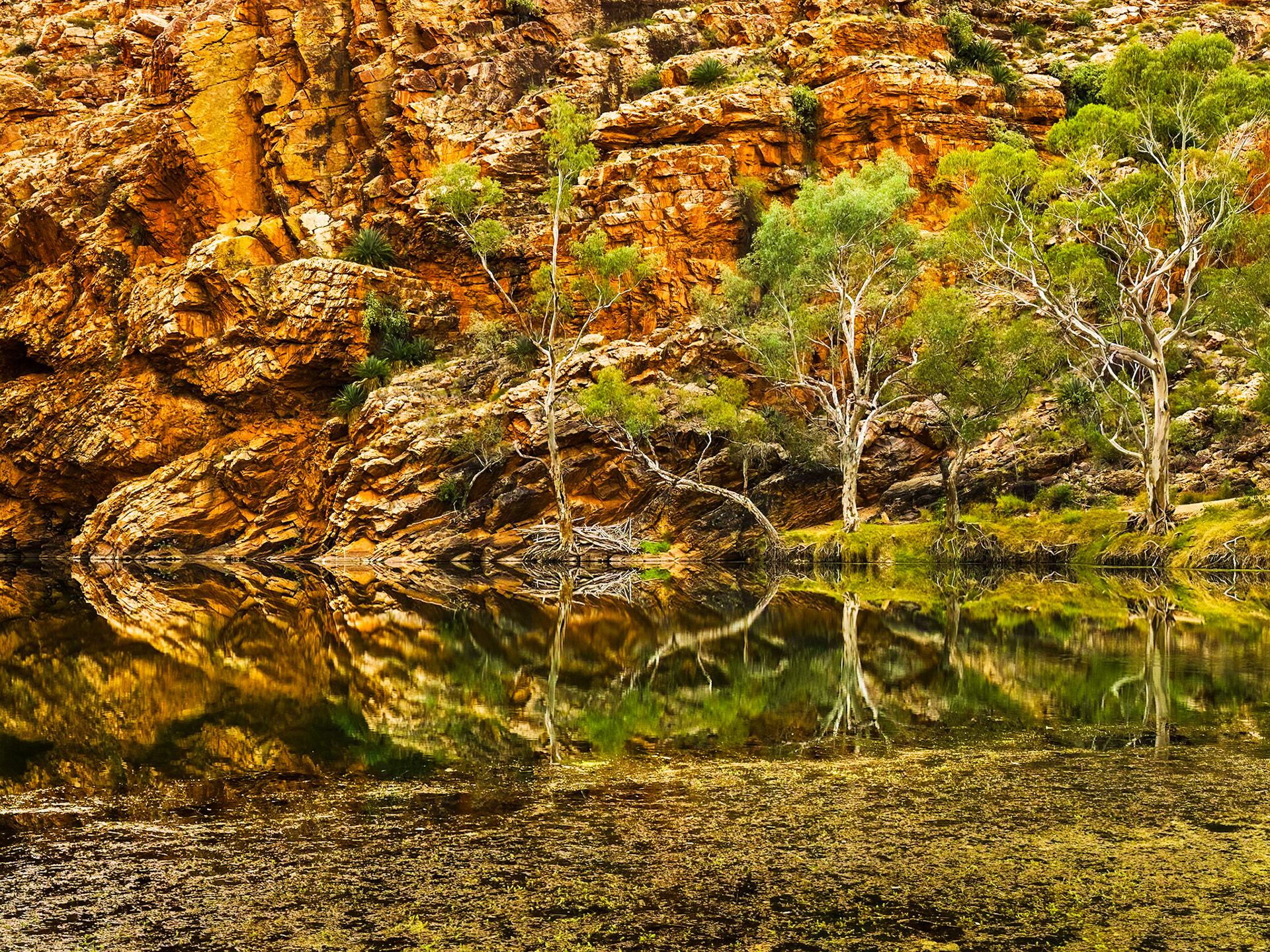 Ellery Creek Big Hole