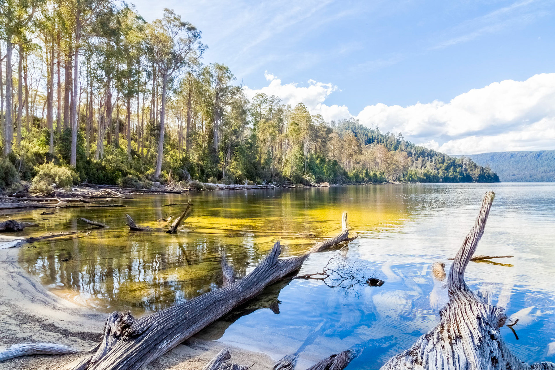 Lake St Clair - Platypus Bay