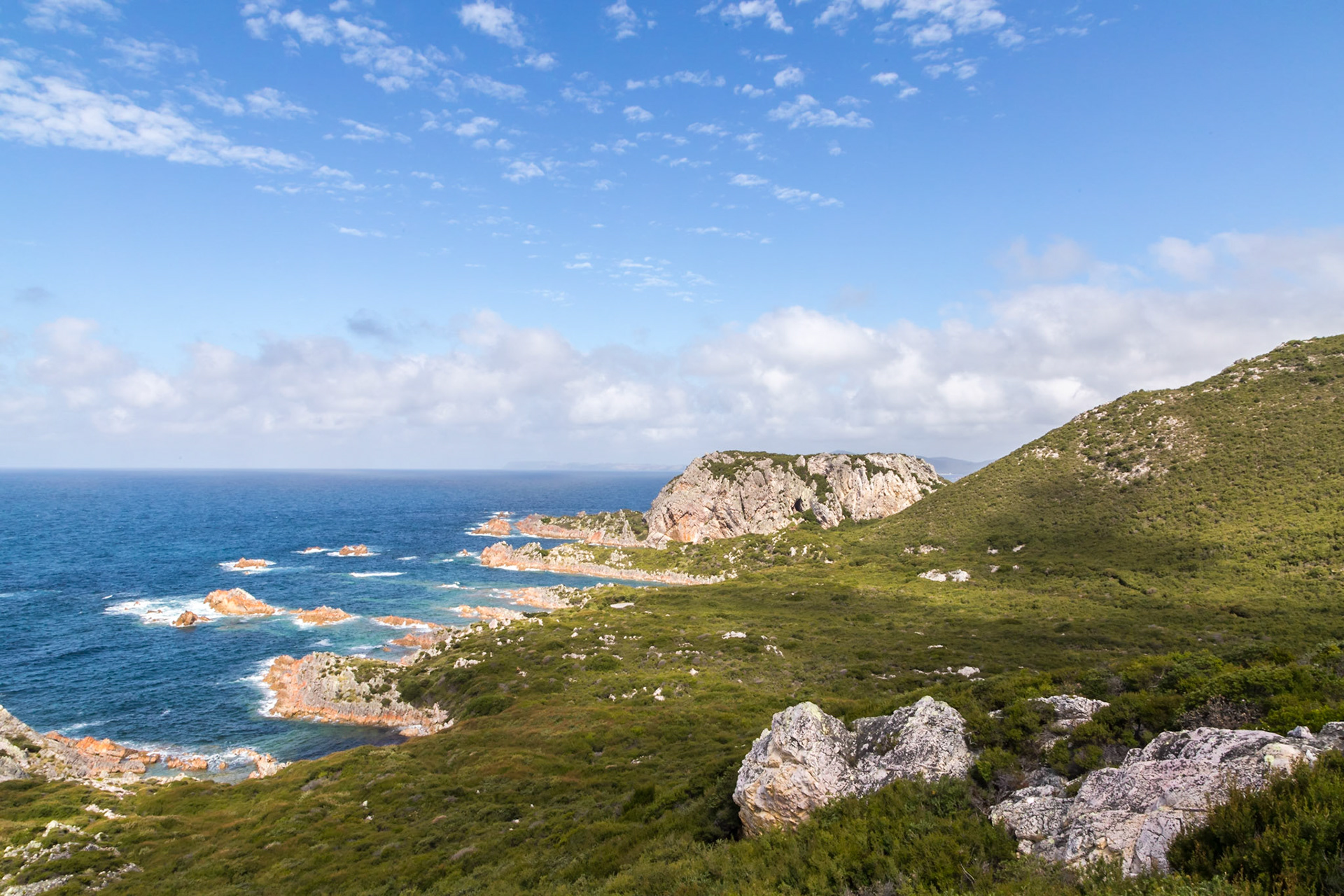 Rocky Cape National Park
