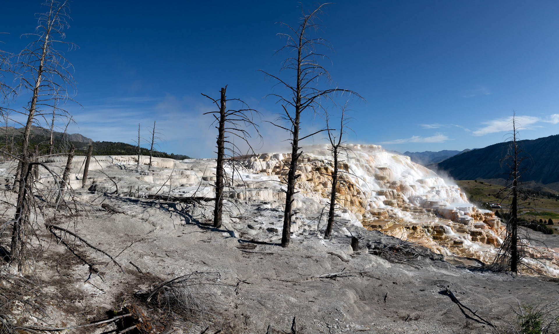 Lower Terraces, Mammoth Hot Springs