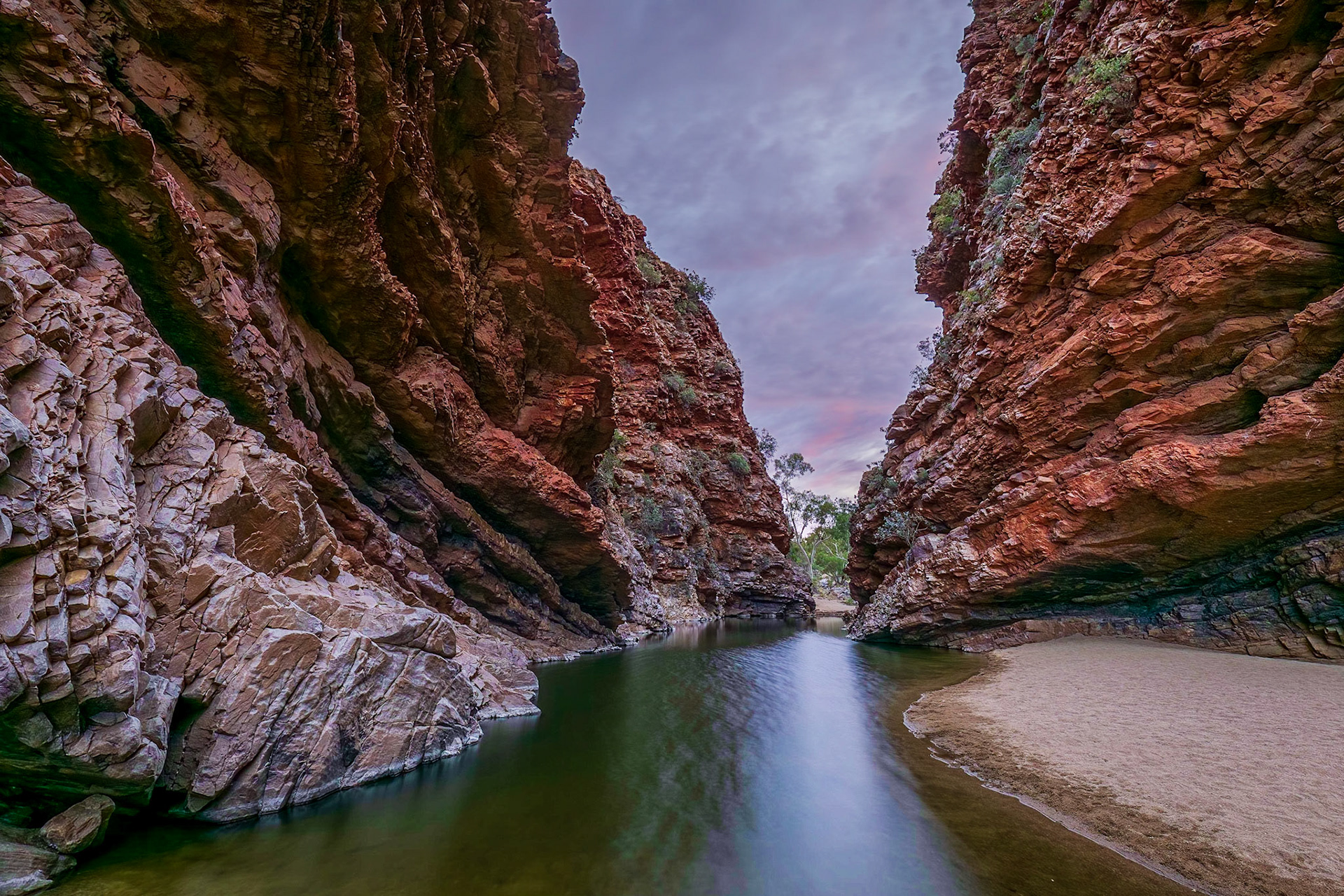 Anticipation of Dawn at Simpsons Gap