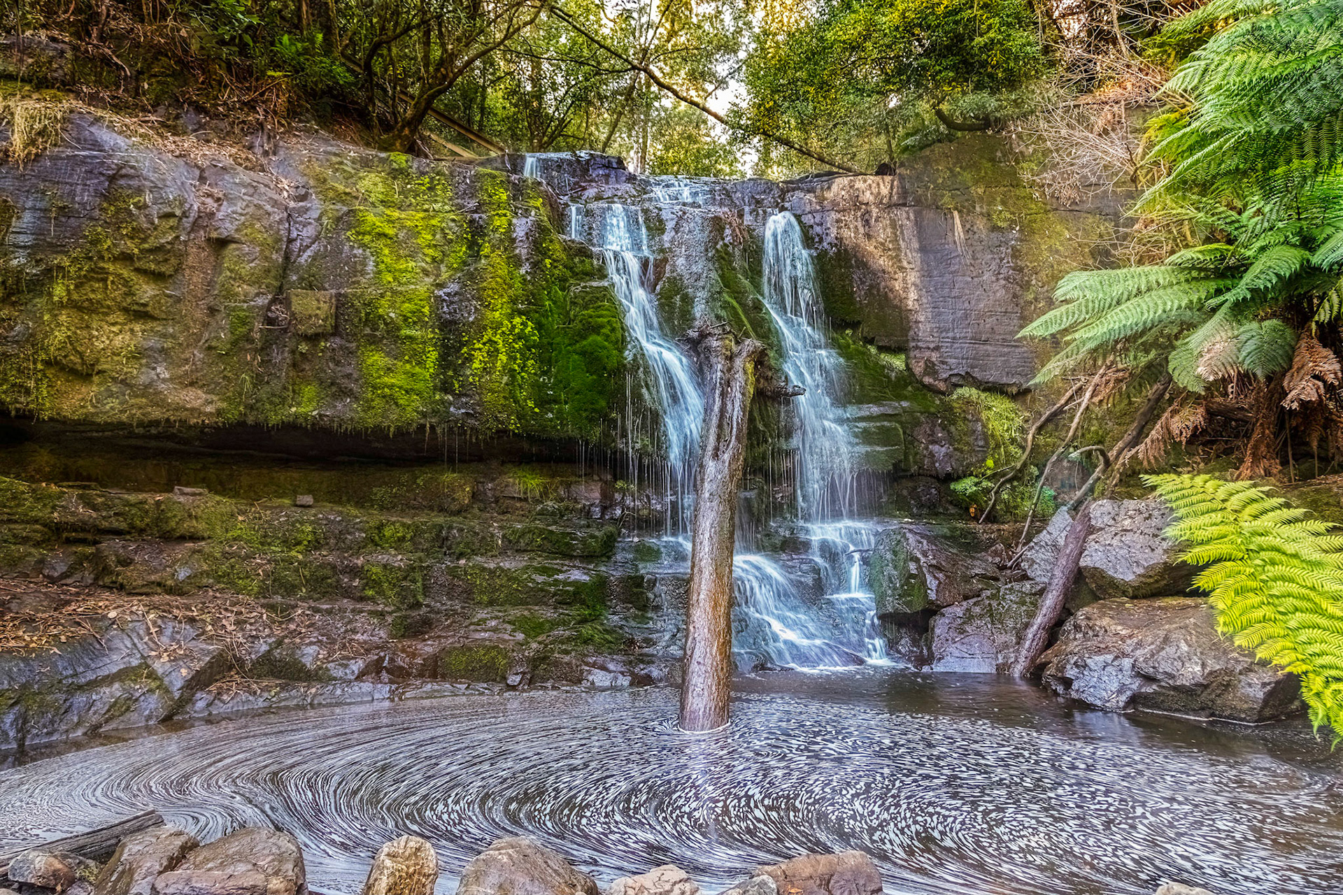 Lilydale Falls: Lower falls