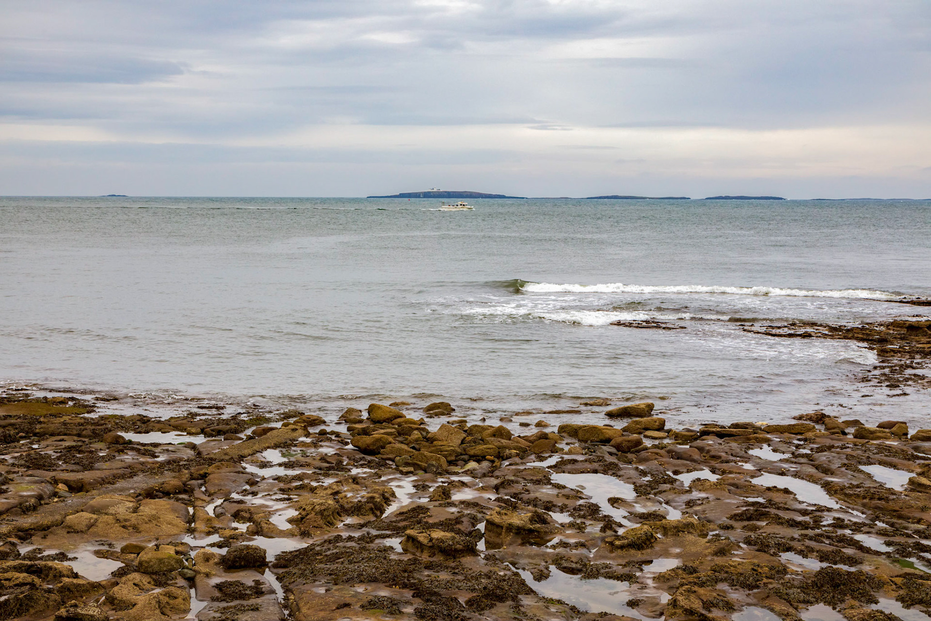 Farne Islands off the Northumberland coast at Seahouses