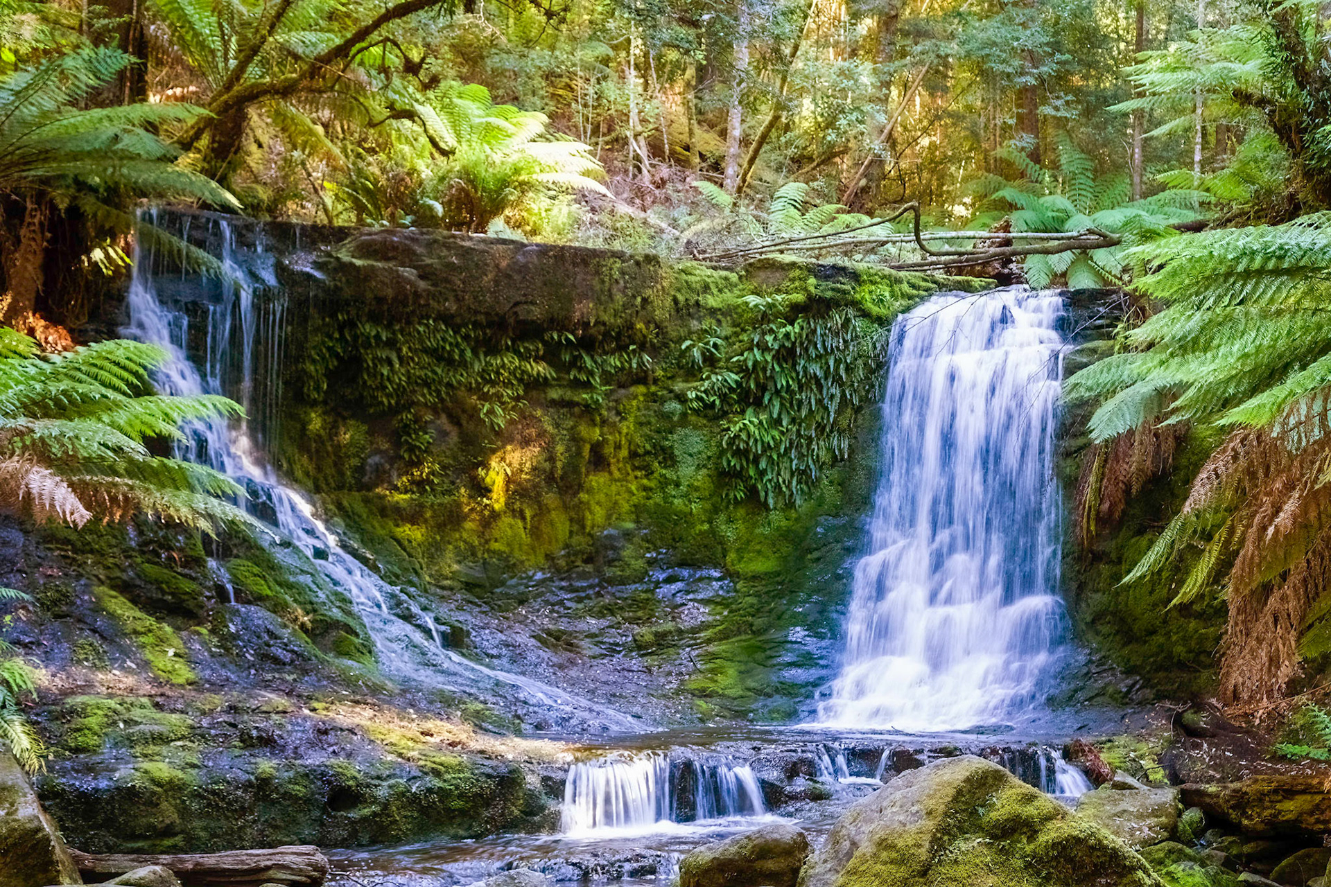 Horseshoe Falls - Mount Field National Park