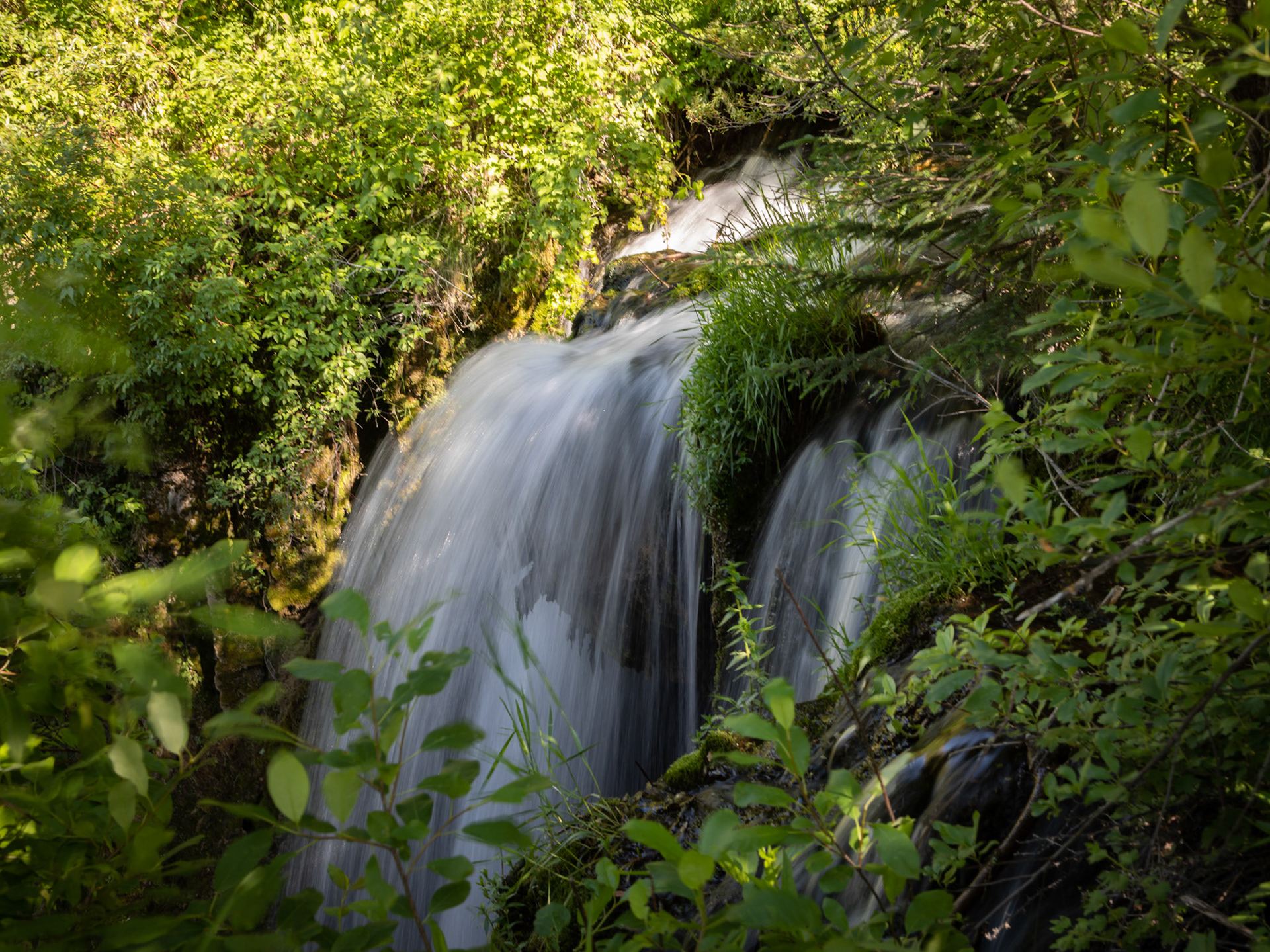 Along the Roughlock Falls Nature Trail, the Black Hills of South Dakota