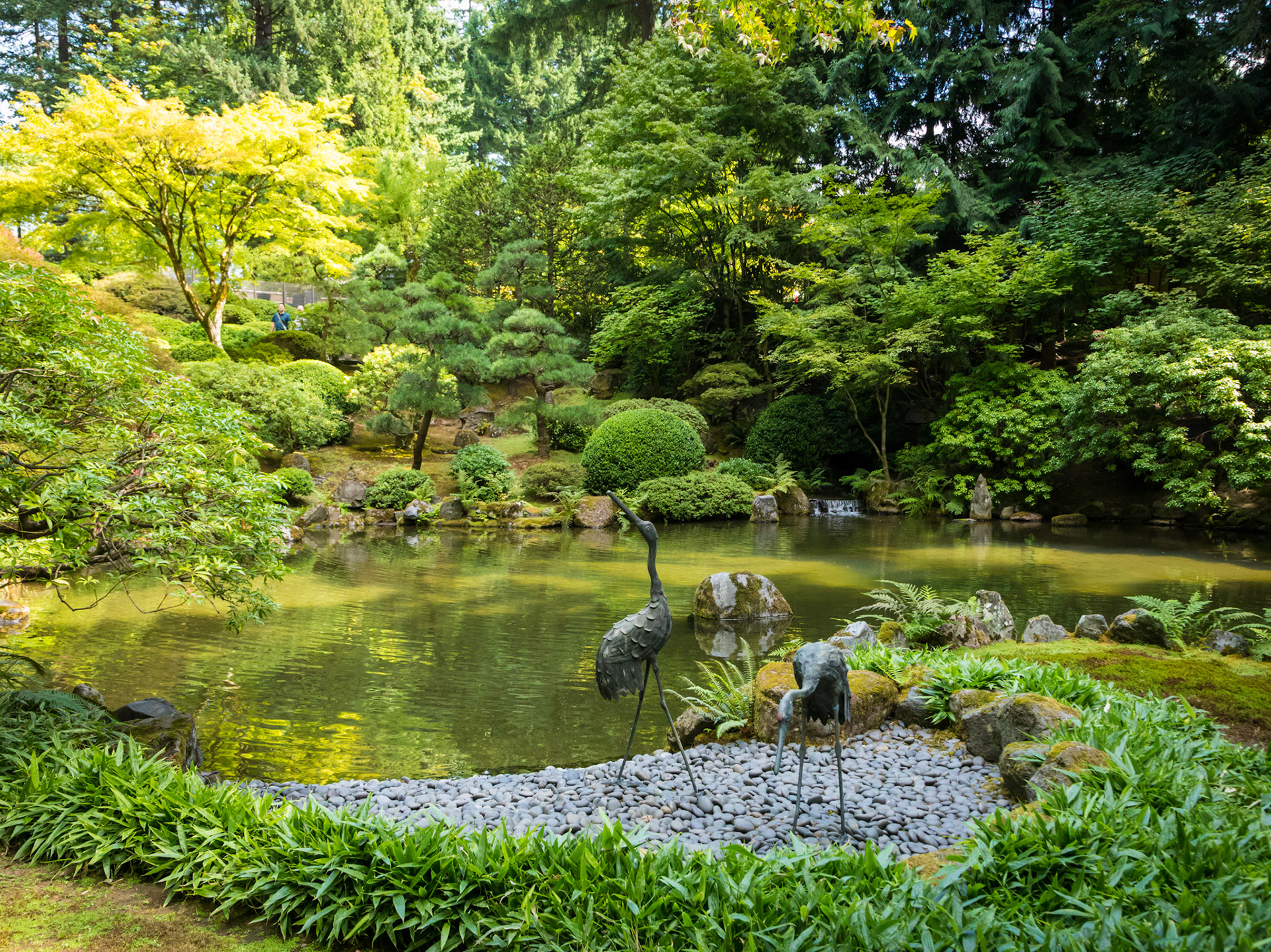 In the Portland Japanese Garden