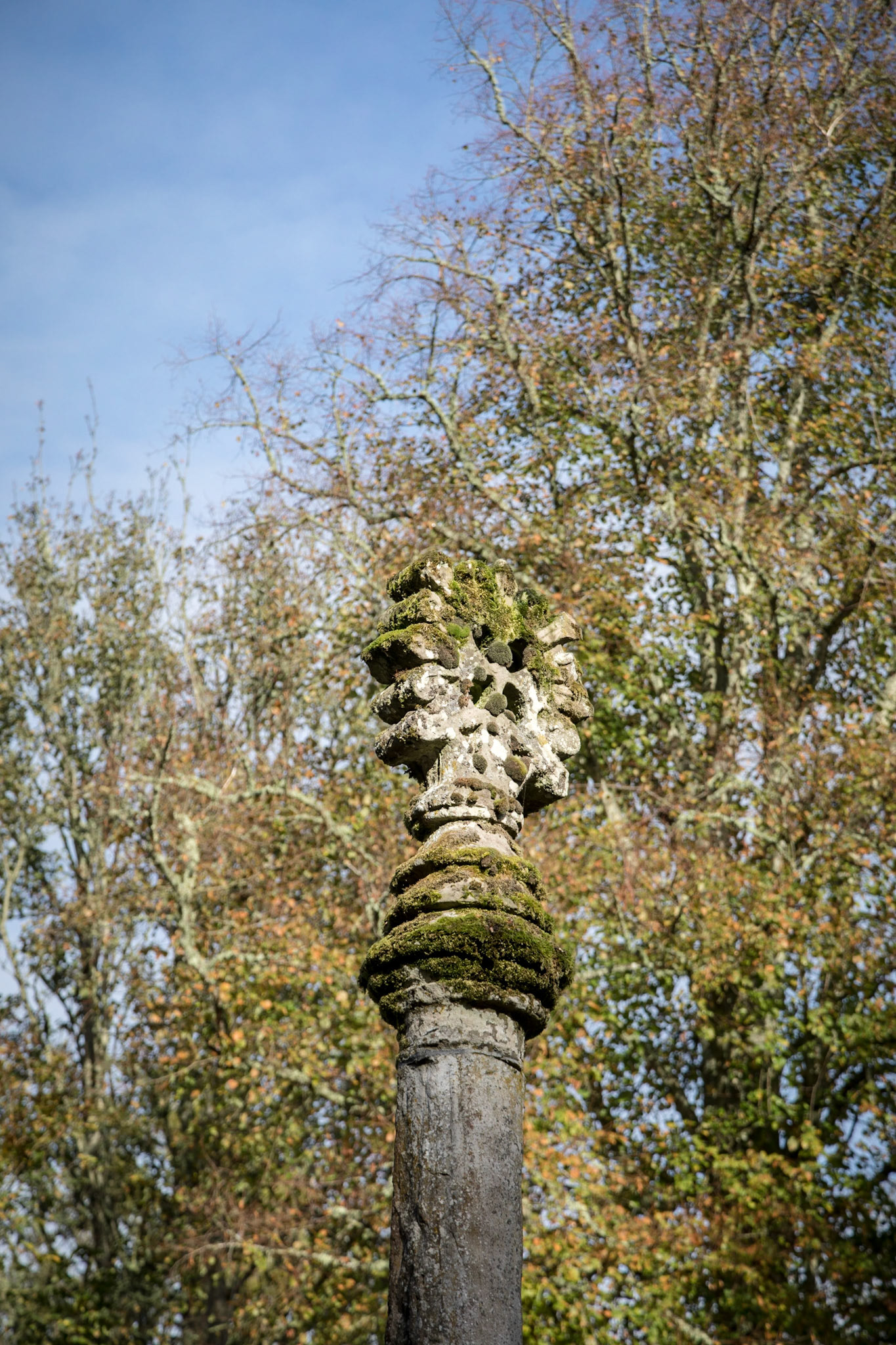 In the Garden at Scone Palace