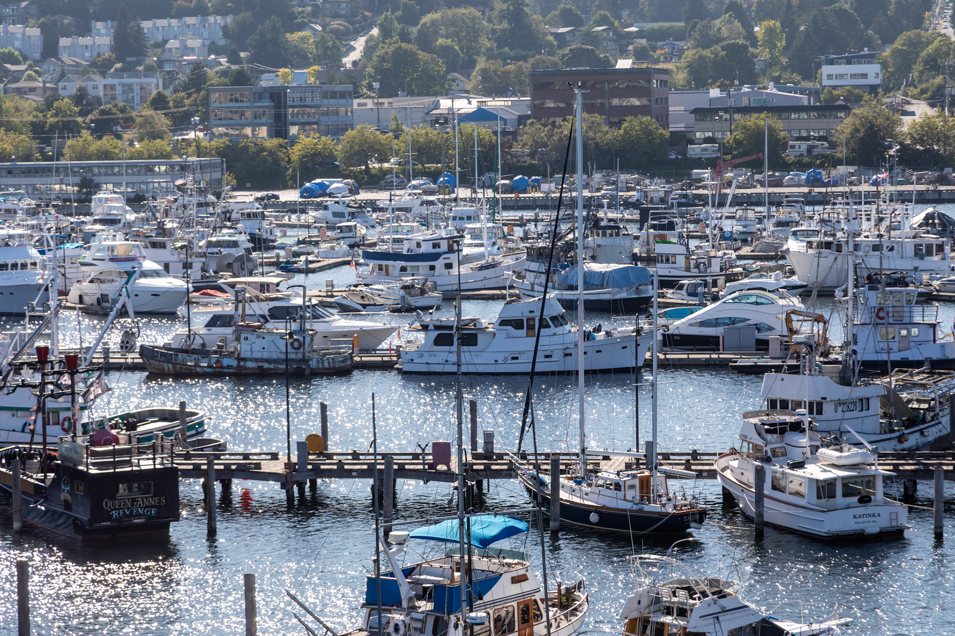 A city of many waterways and many boats