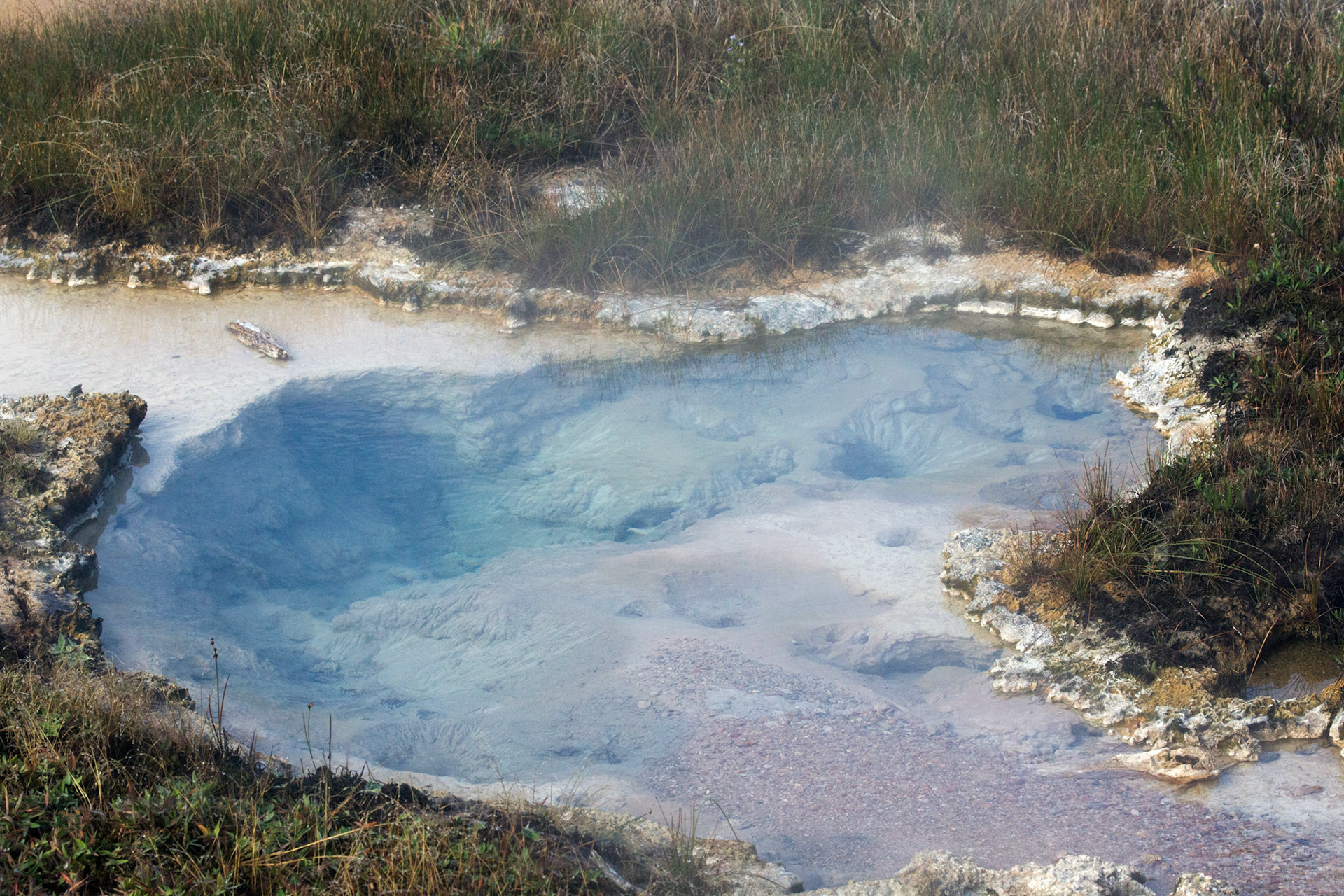 Artist Paint Pot Trail, Flash Spring.