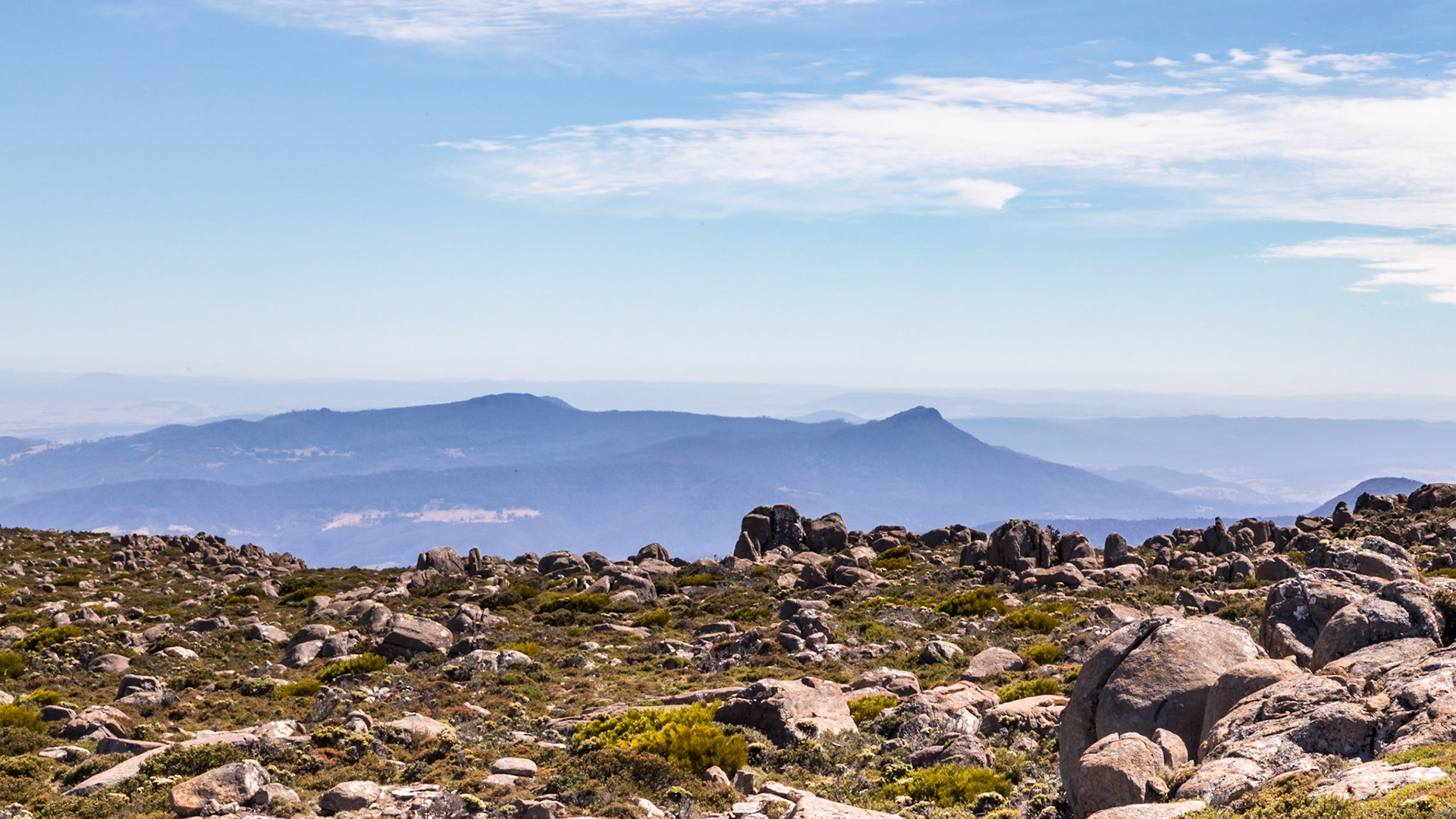 Kunanyi;  a view from the summit (Mt. Wellington)