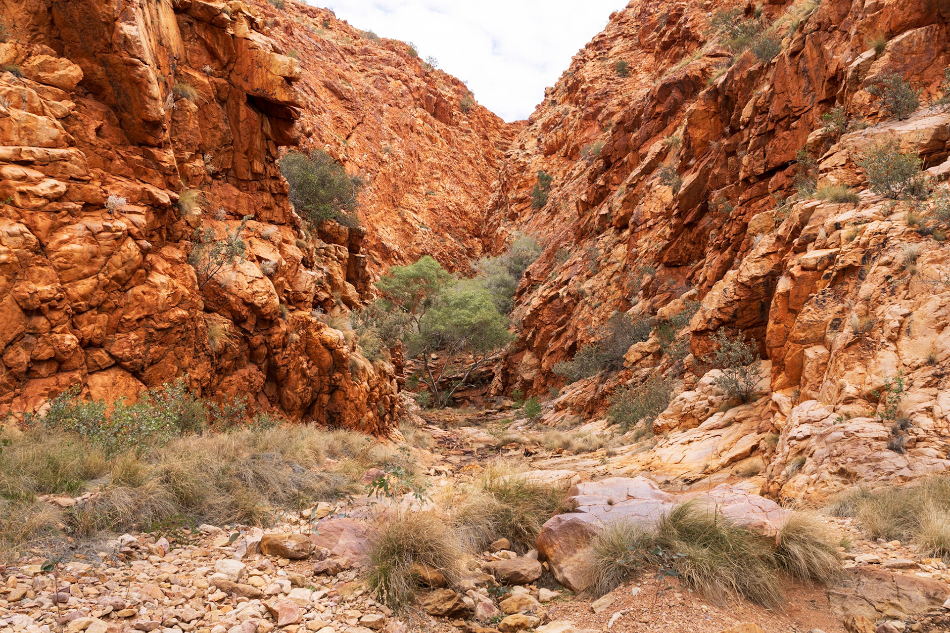 Pangkurpini Gorge (off the Sandy Blight Jct Rd)