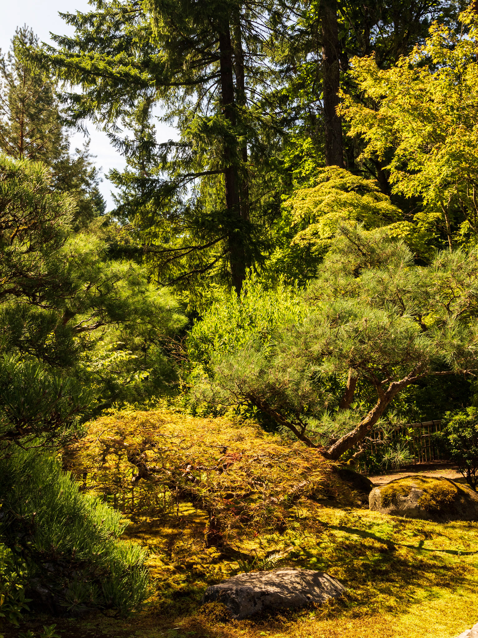 In the Portland Japanese Garden