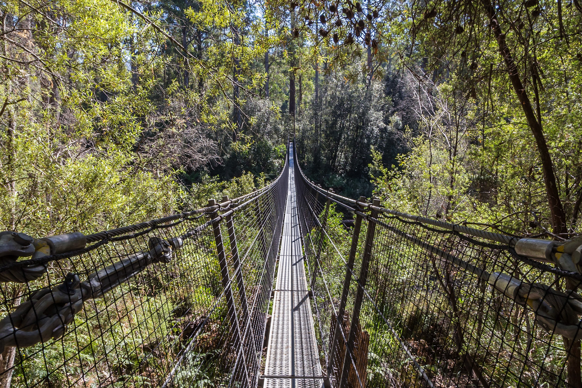Picton River Swinging Bridge