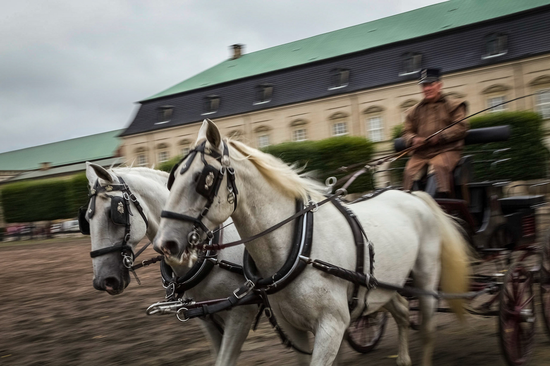 Exercising the Queen's horses, Christiansborg Palace