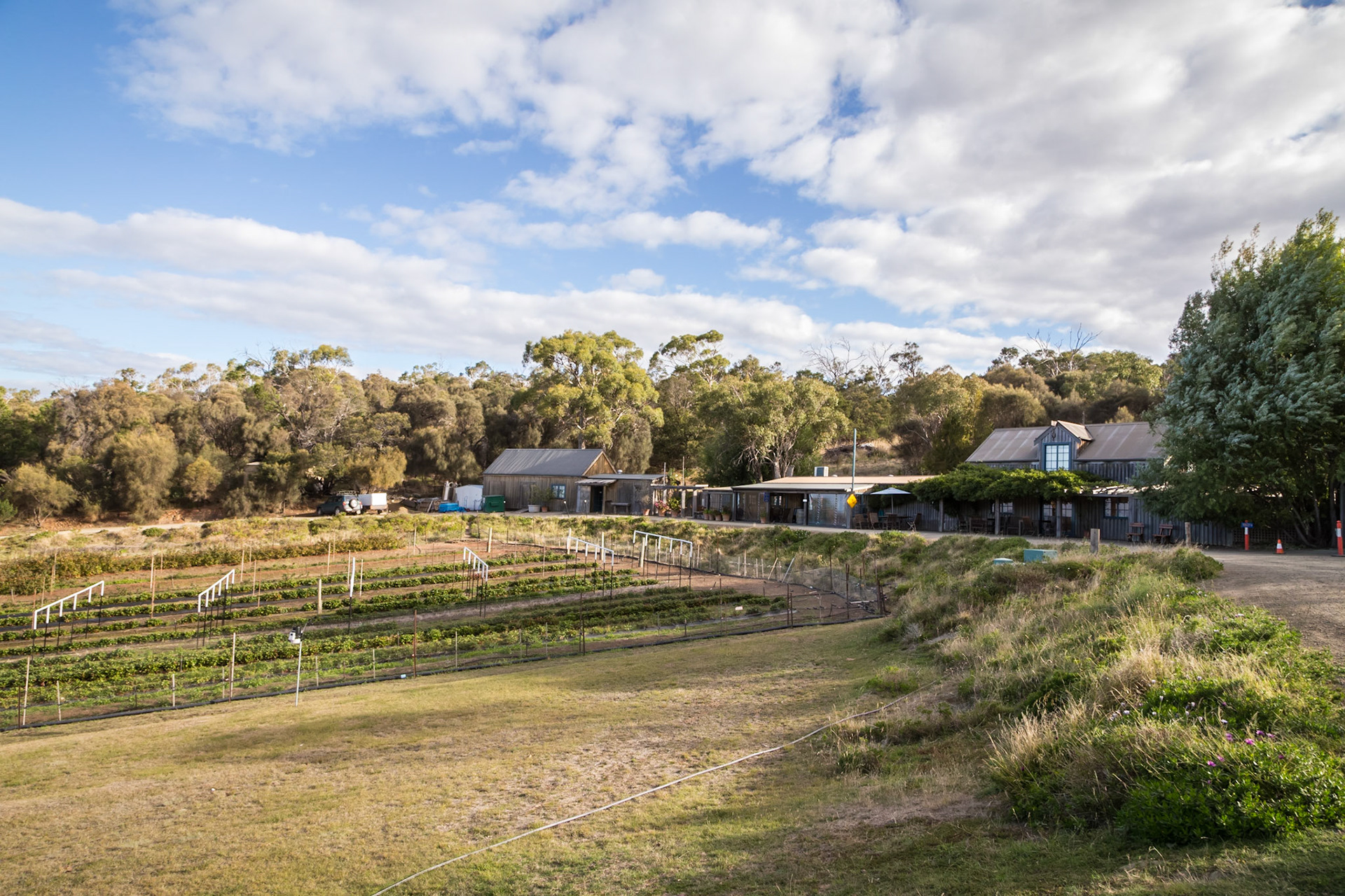 Kate's Berry Farm. Excellent ice-creams of various berry flavours, berry pies, pancakes, crepes and various other berry products