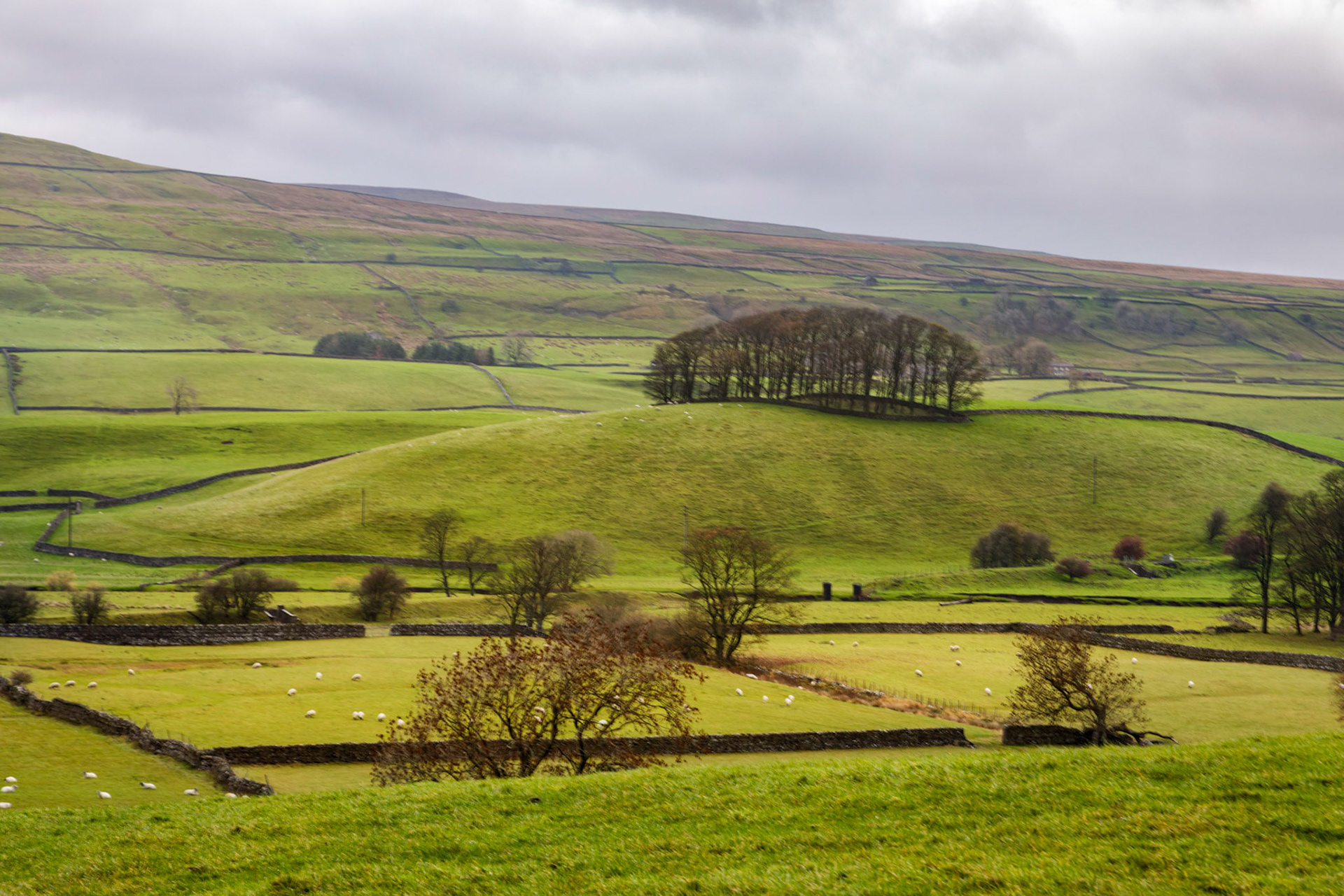 On the drive along A684 across the Yorkshire Dales National Park.