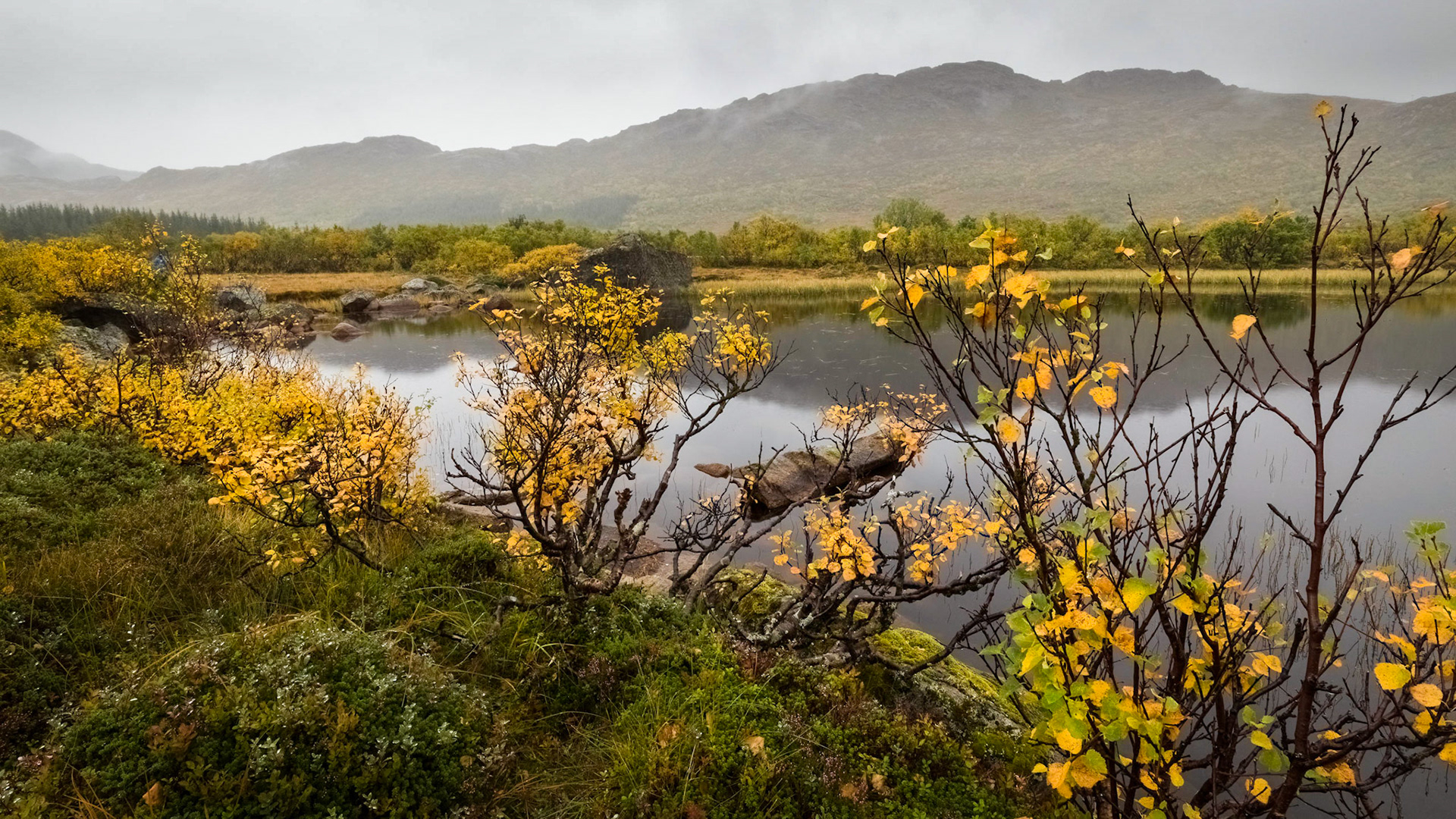 Roadside (Fv807) pond. 04:28 pm.