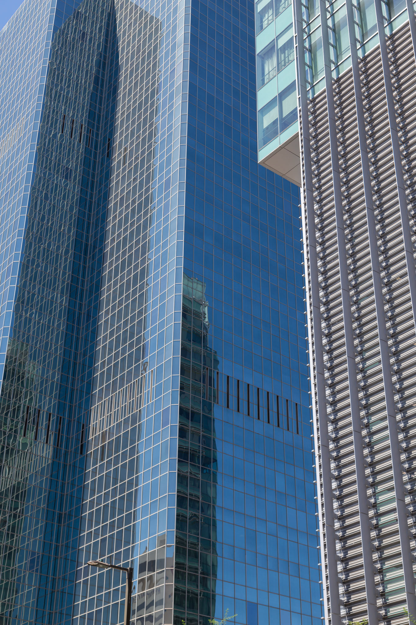 Some very new downtown towers