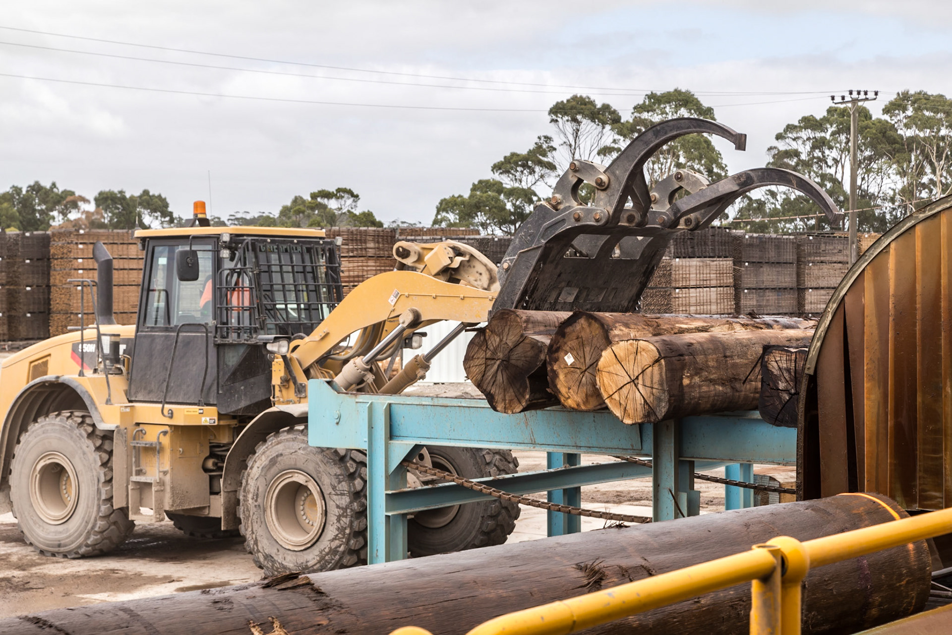 Receiving the logs for sawing. Britton Timbers Sawmill, Smithton.