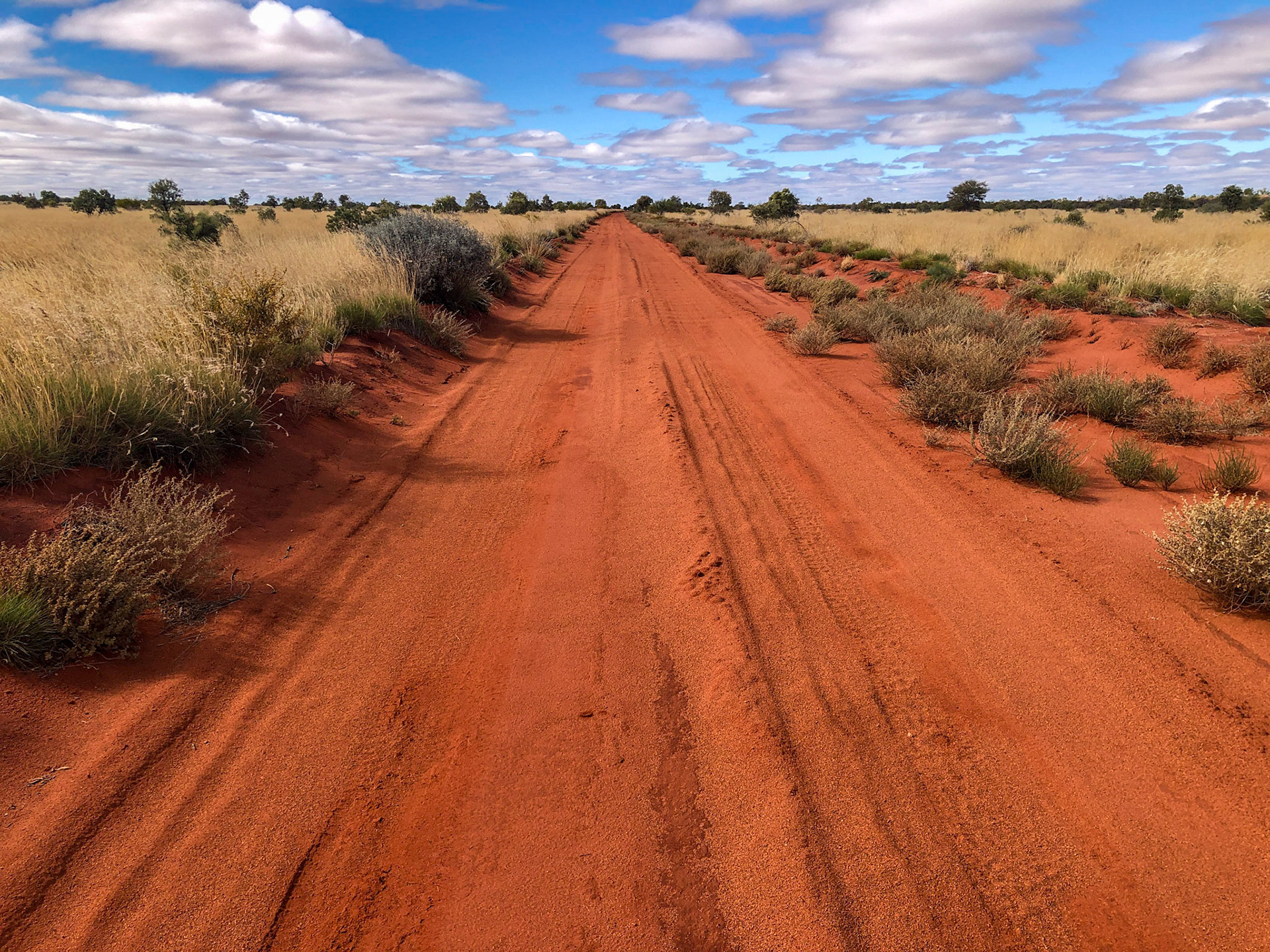 In Pintubi homeland country, Gibson Desert