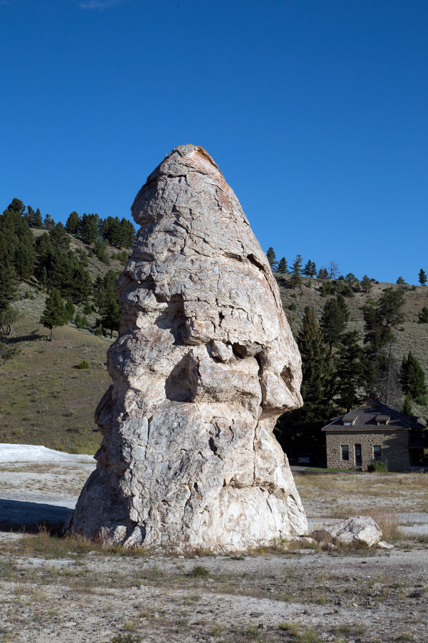 'Liberty Cap' a dormant hot spring cone.  Yellowstone National Park, Wyoming.