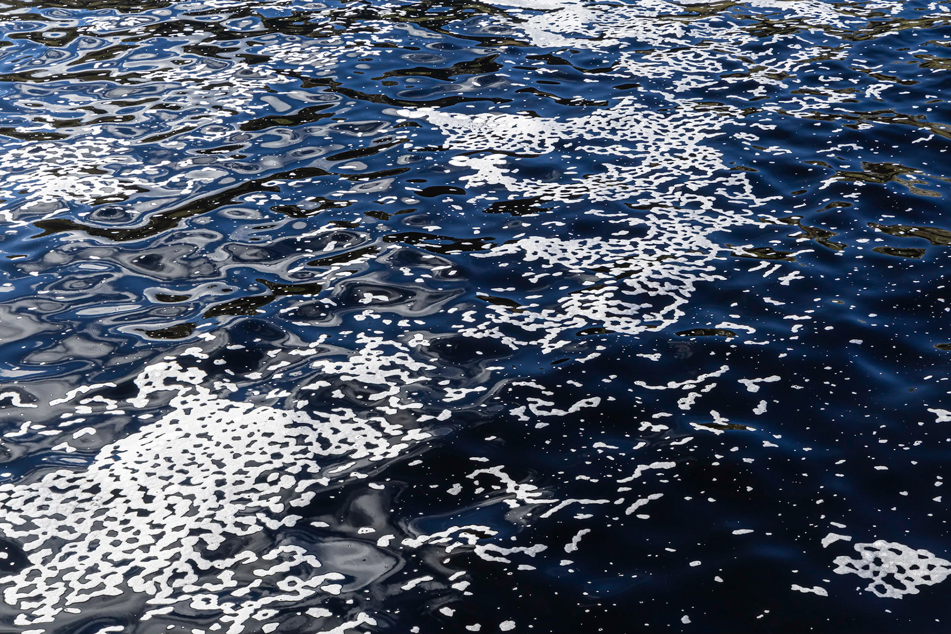 Drifting sea foam on the waters of Port Davey