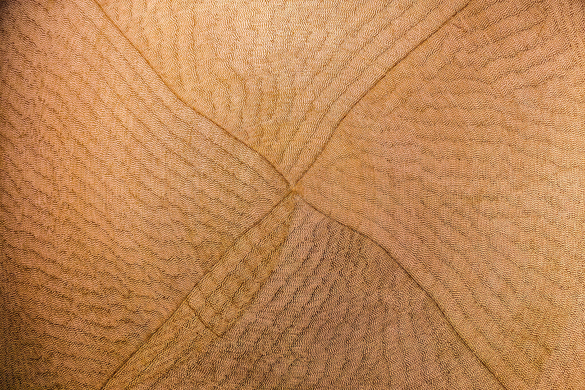 Mountain Devil Lizard Dreaming (after hailstorm), Australia 1997 (Kathleen Petyarr)