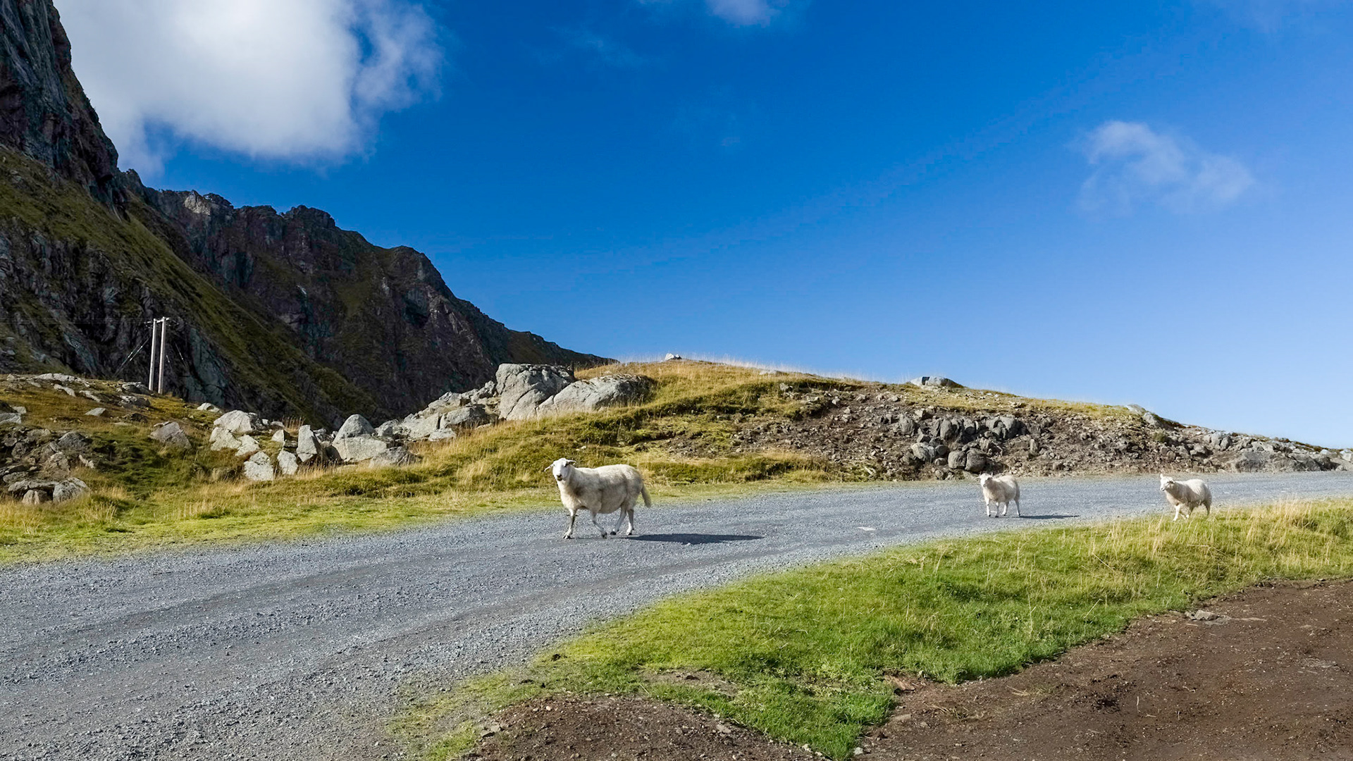 Vestvågøy hillside track. 12:44 pm.
