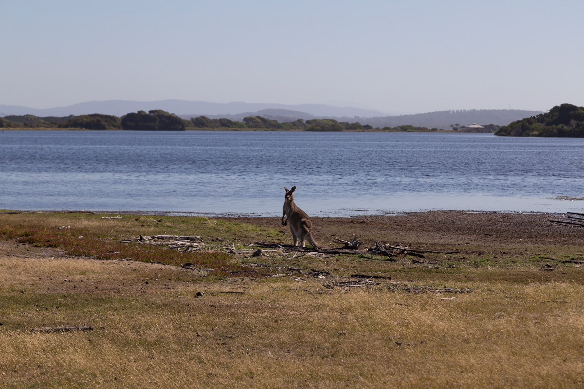 Narawntapu National Park
