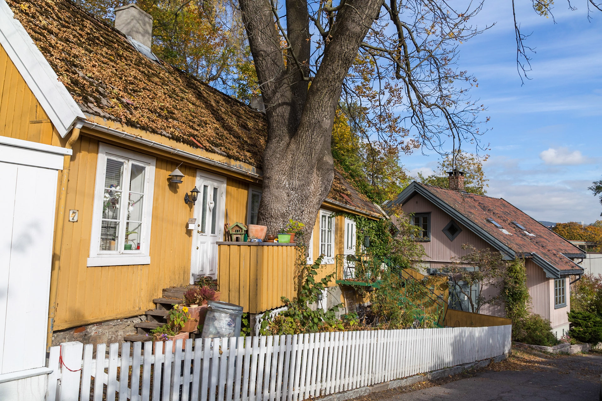 Along Telthusbakken inner Oslo. Streetscape of mostly traditional-style houses.