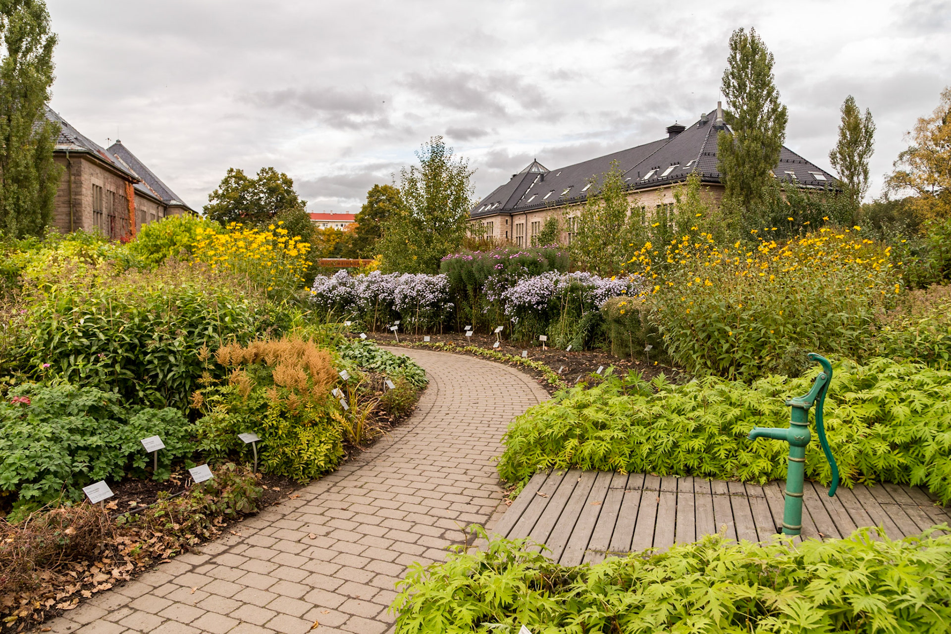 In the grounds of the university's Botanical Gardens
