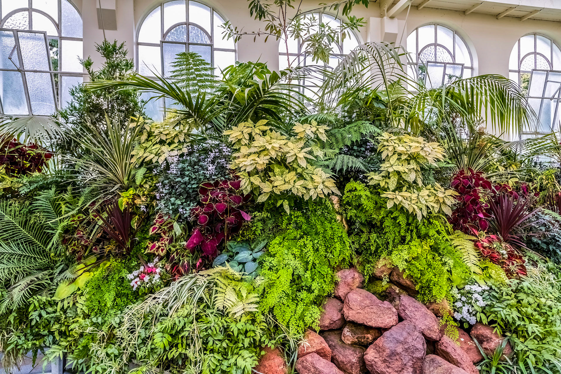 In City Park - Inside the John Hart Conservatory