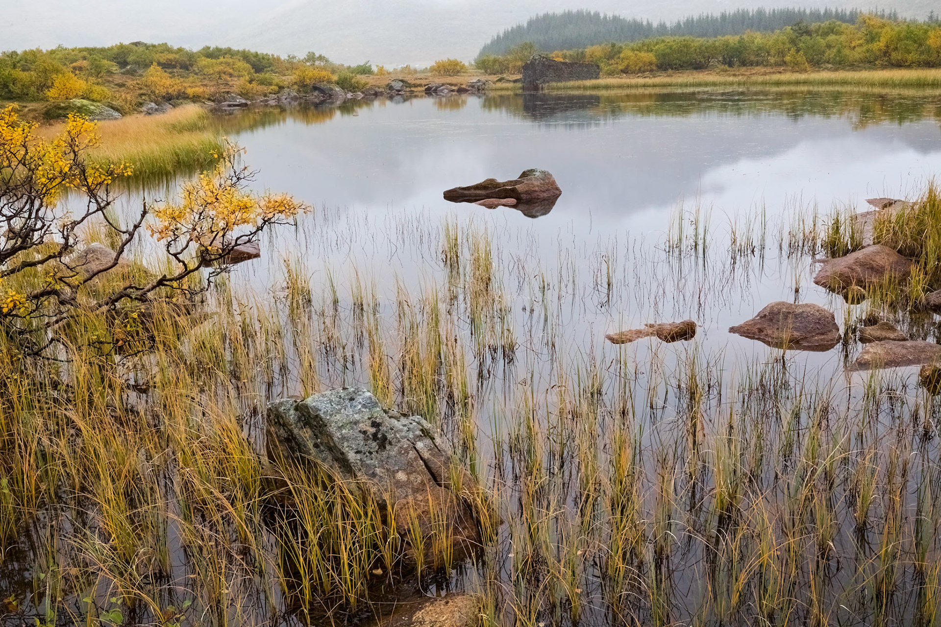 Roadside (Fv807) pond. 04:39 pm.