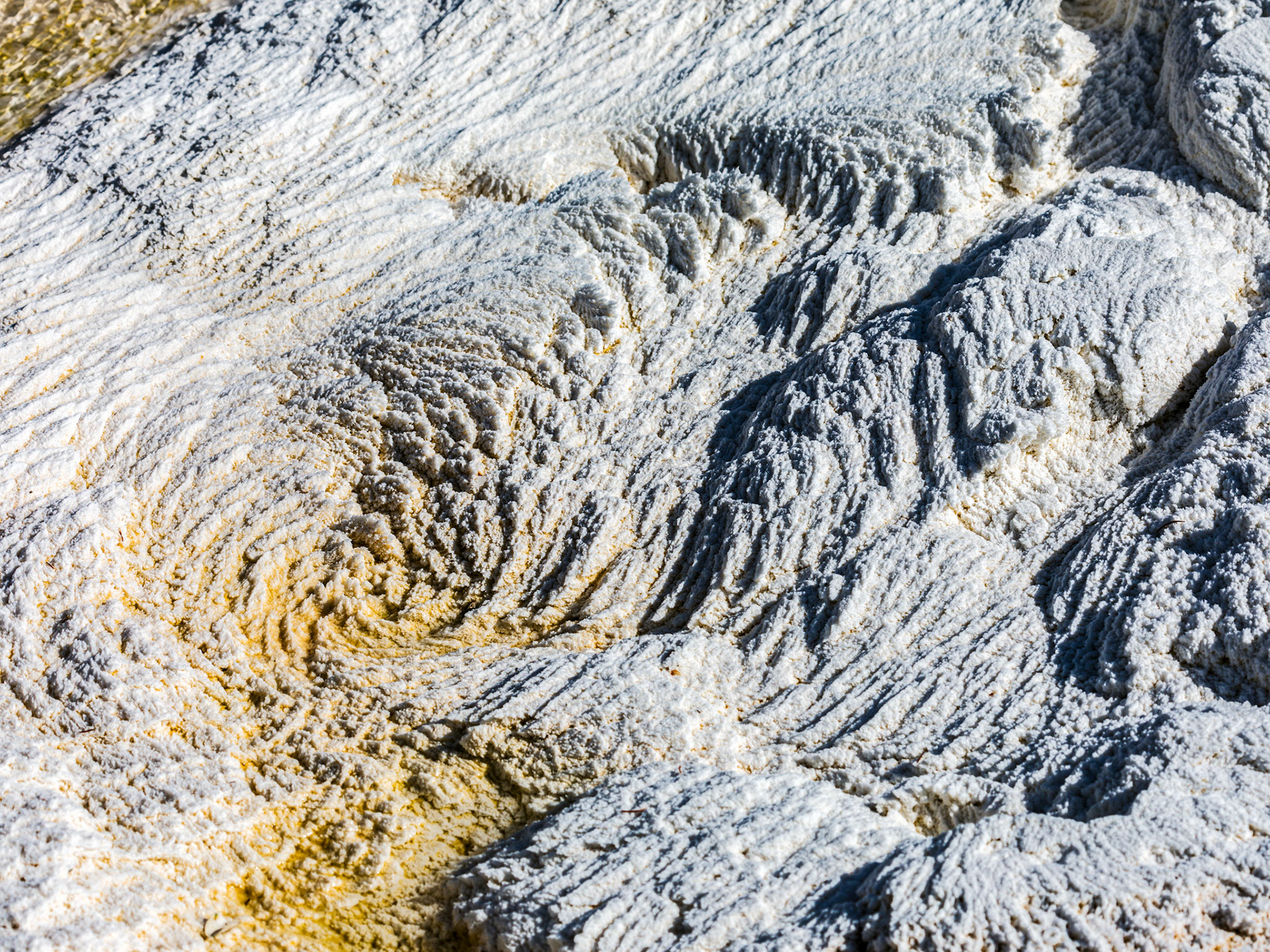 Lower Terraces, Mammoth Hot Springs