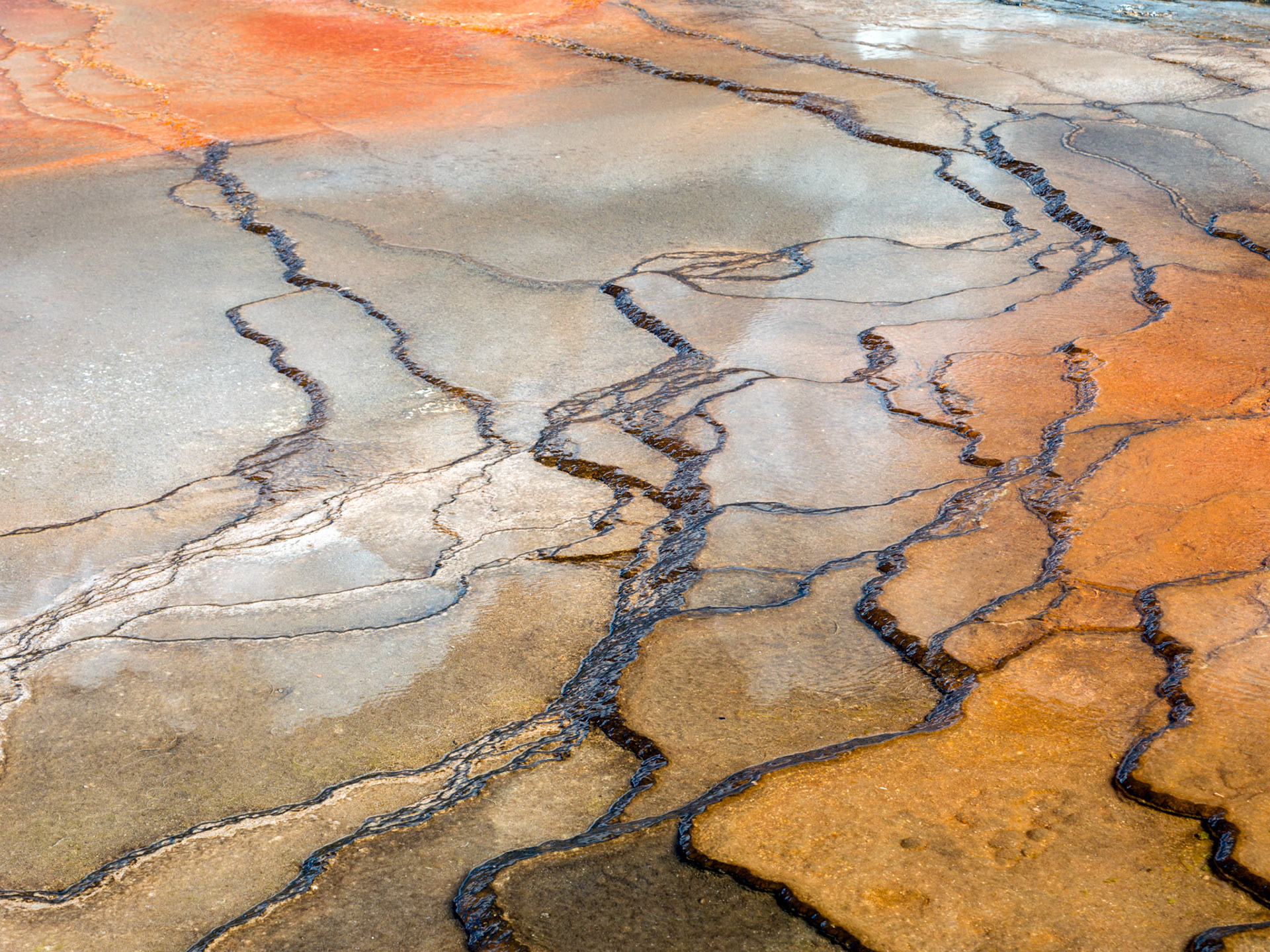Midway Geyser Basin, Yellowstone National Park, Wyoming.