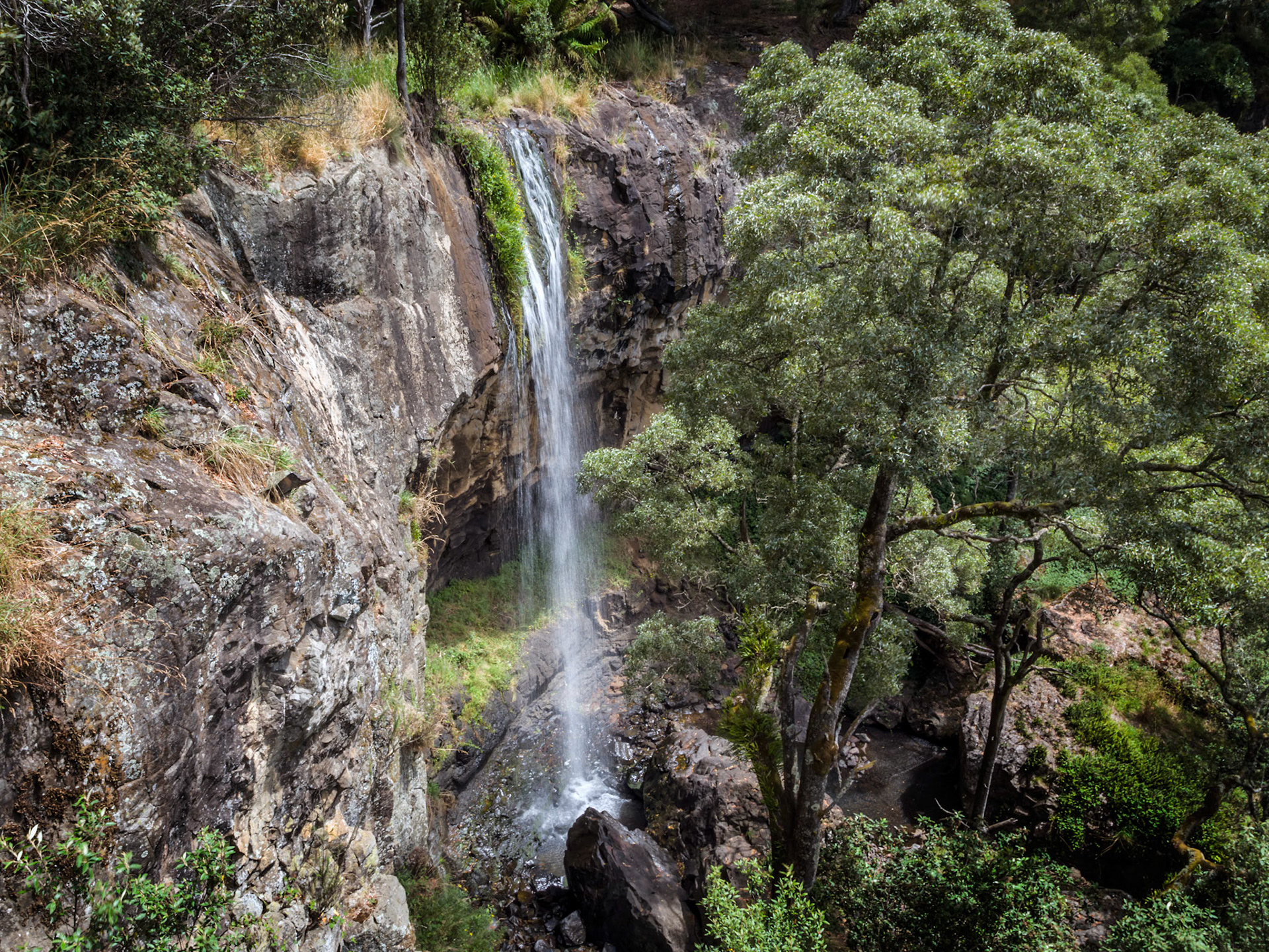 Preston Waterfall, 25 metres