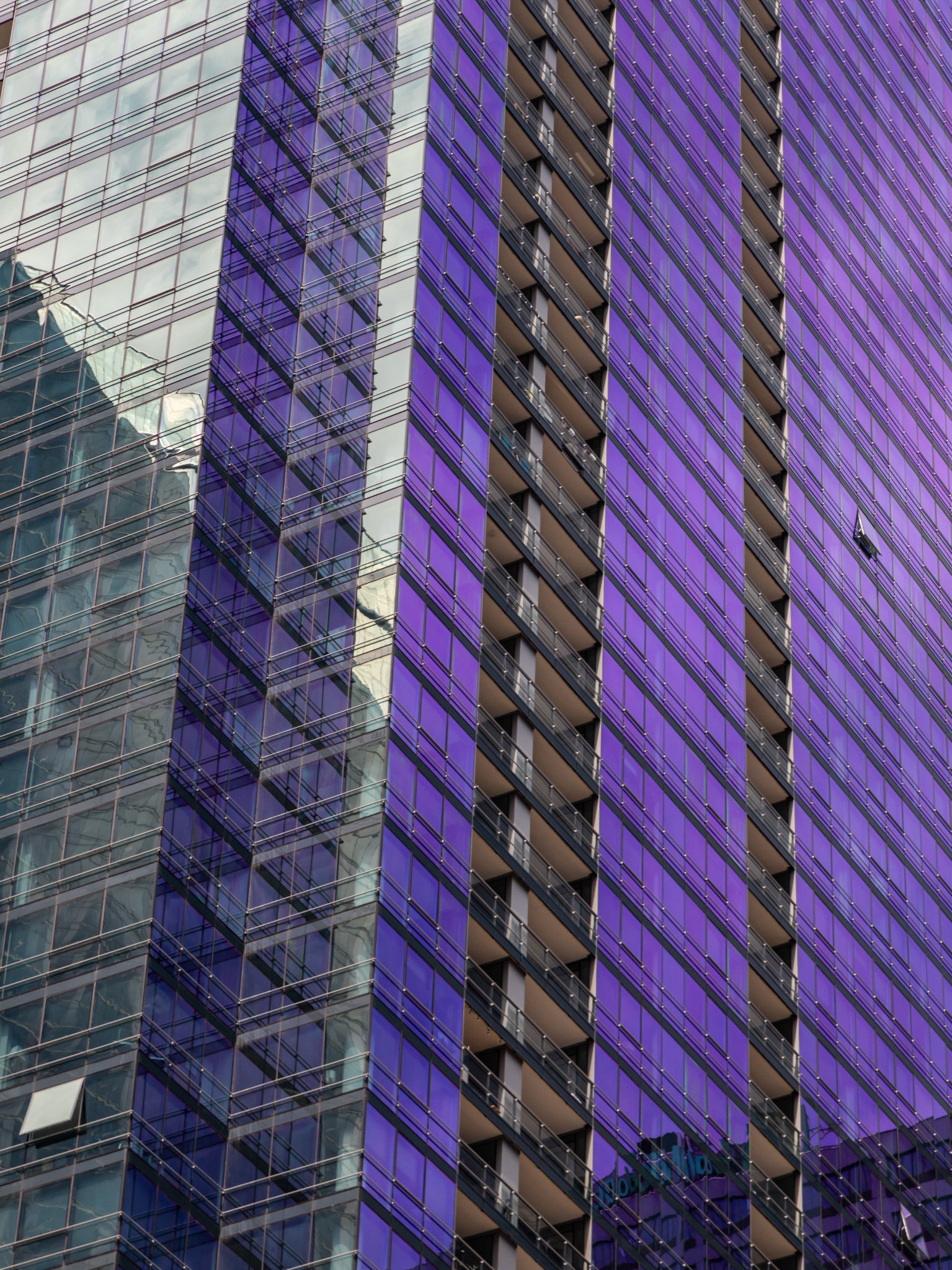 A View from the Chicago River
